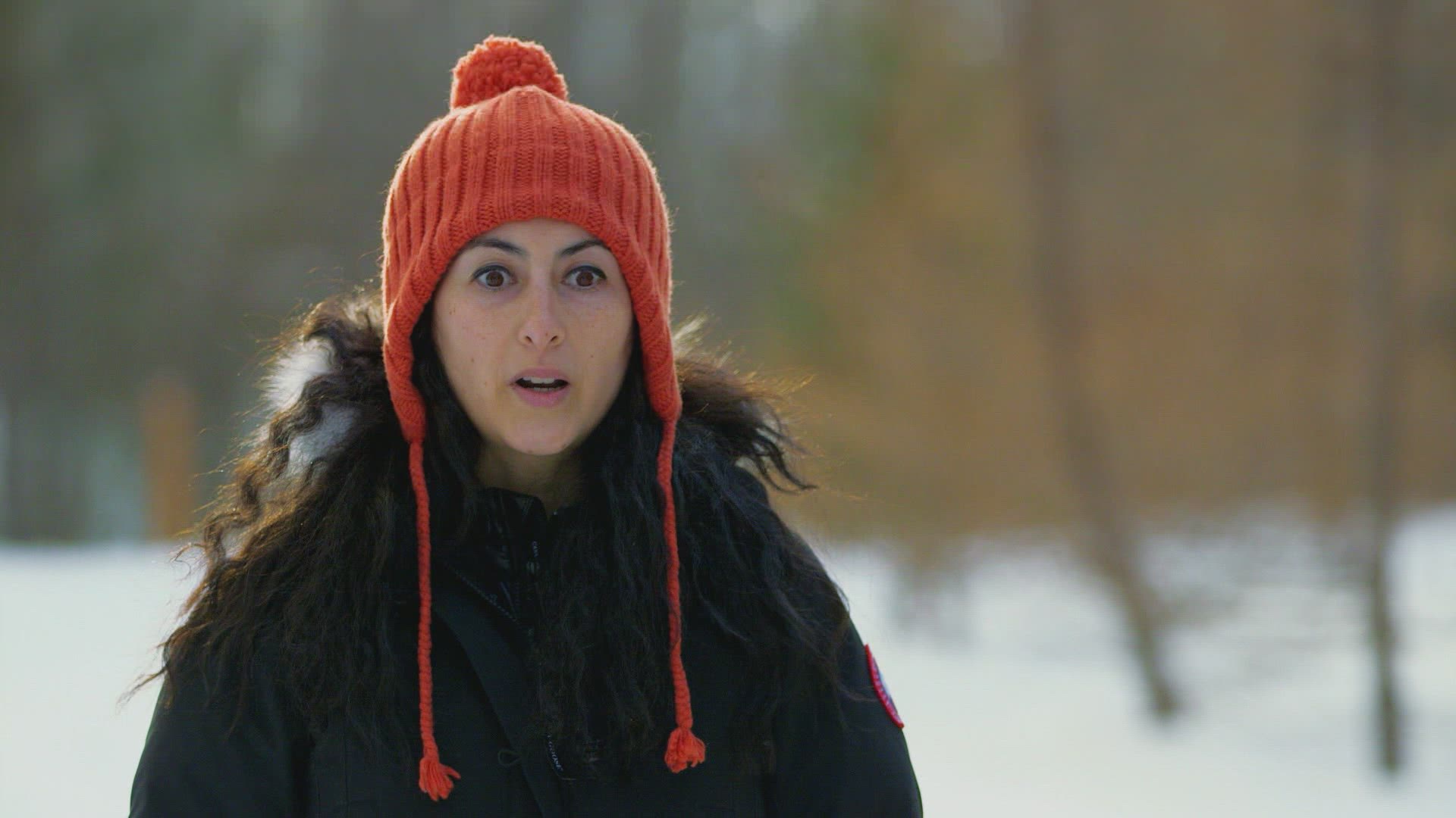 ميسينغ إن ألاسكا الموسم 1 الحلقة 6 ديث باي ديمن وولف