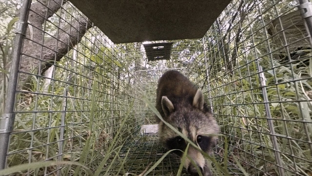 Intruders Season 1 Episode 1 Suburban Assault