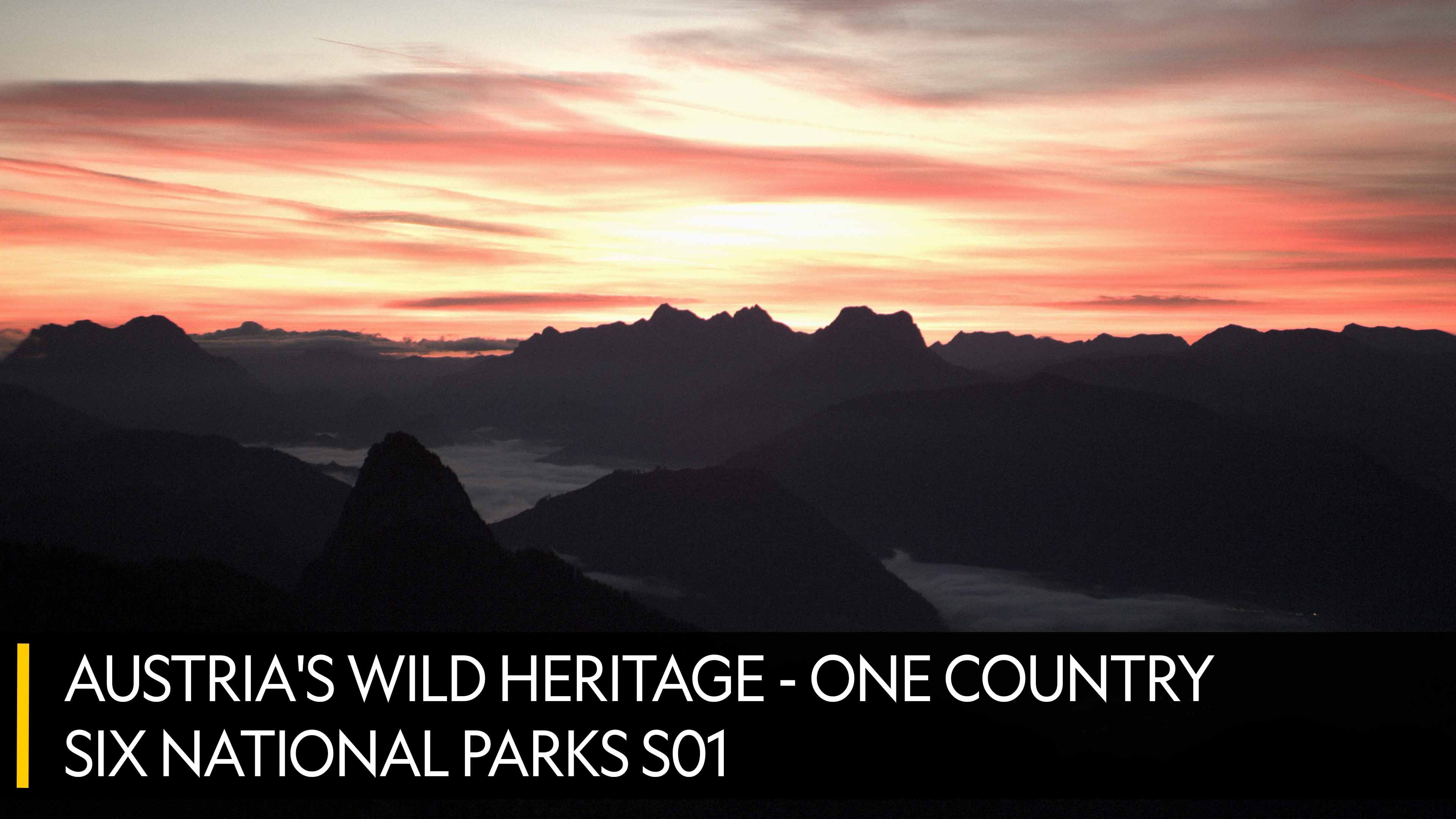 Austria's Wild Heritage