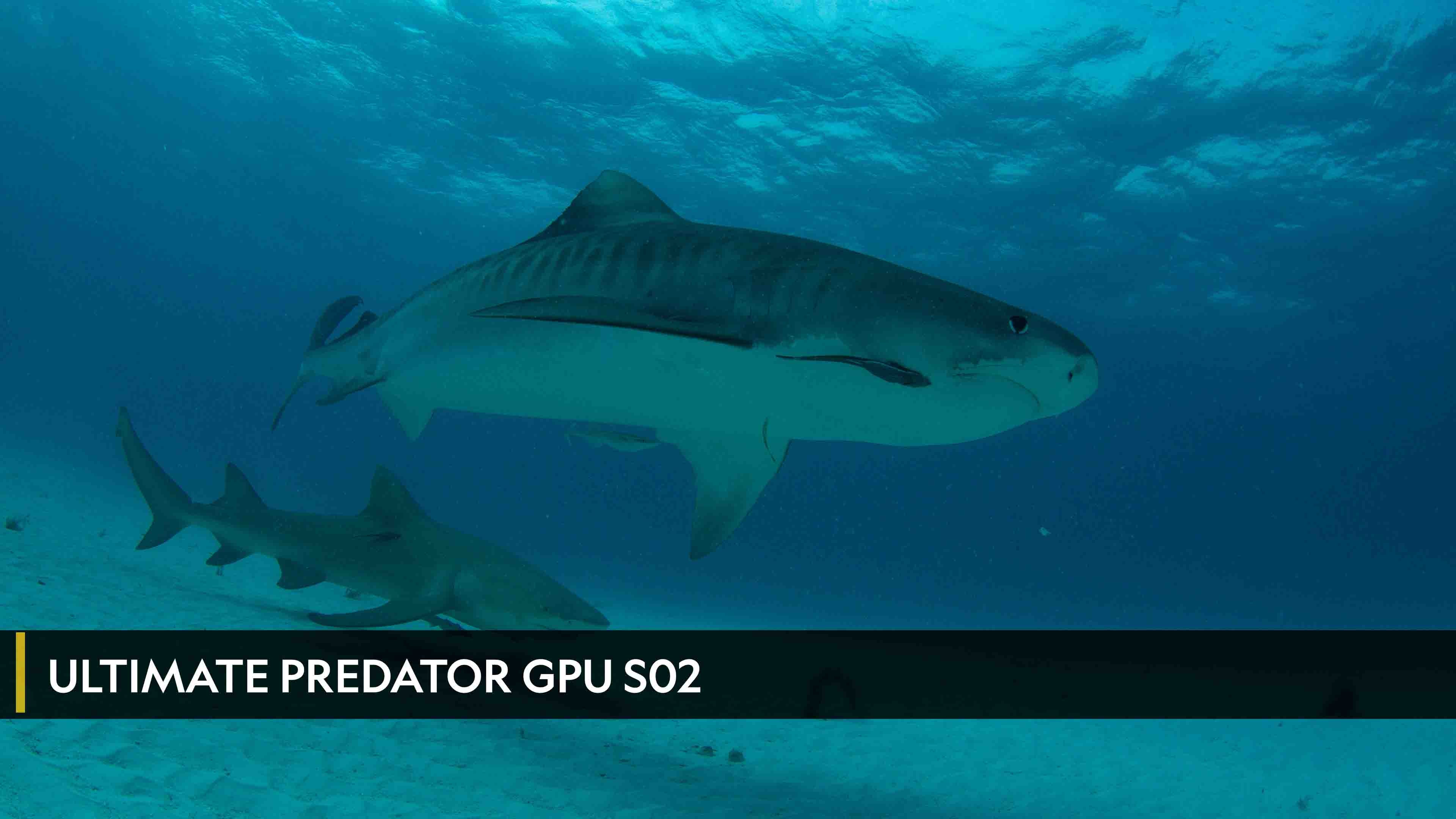 Ultimate Predator GPU الموسم 2 الحلقة 1 Death By Dragon