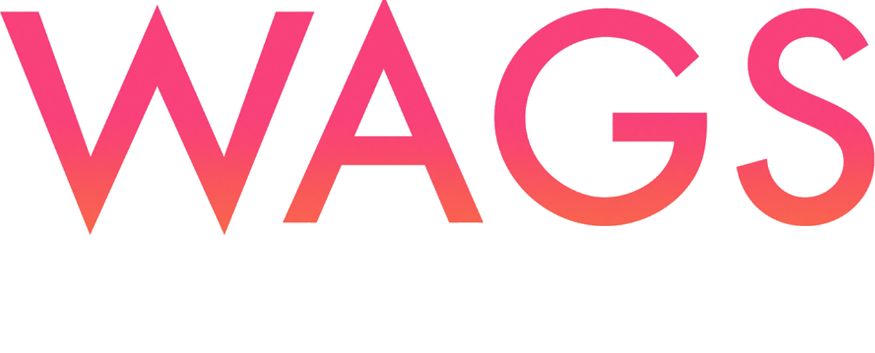WAGs Miami
