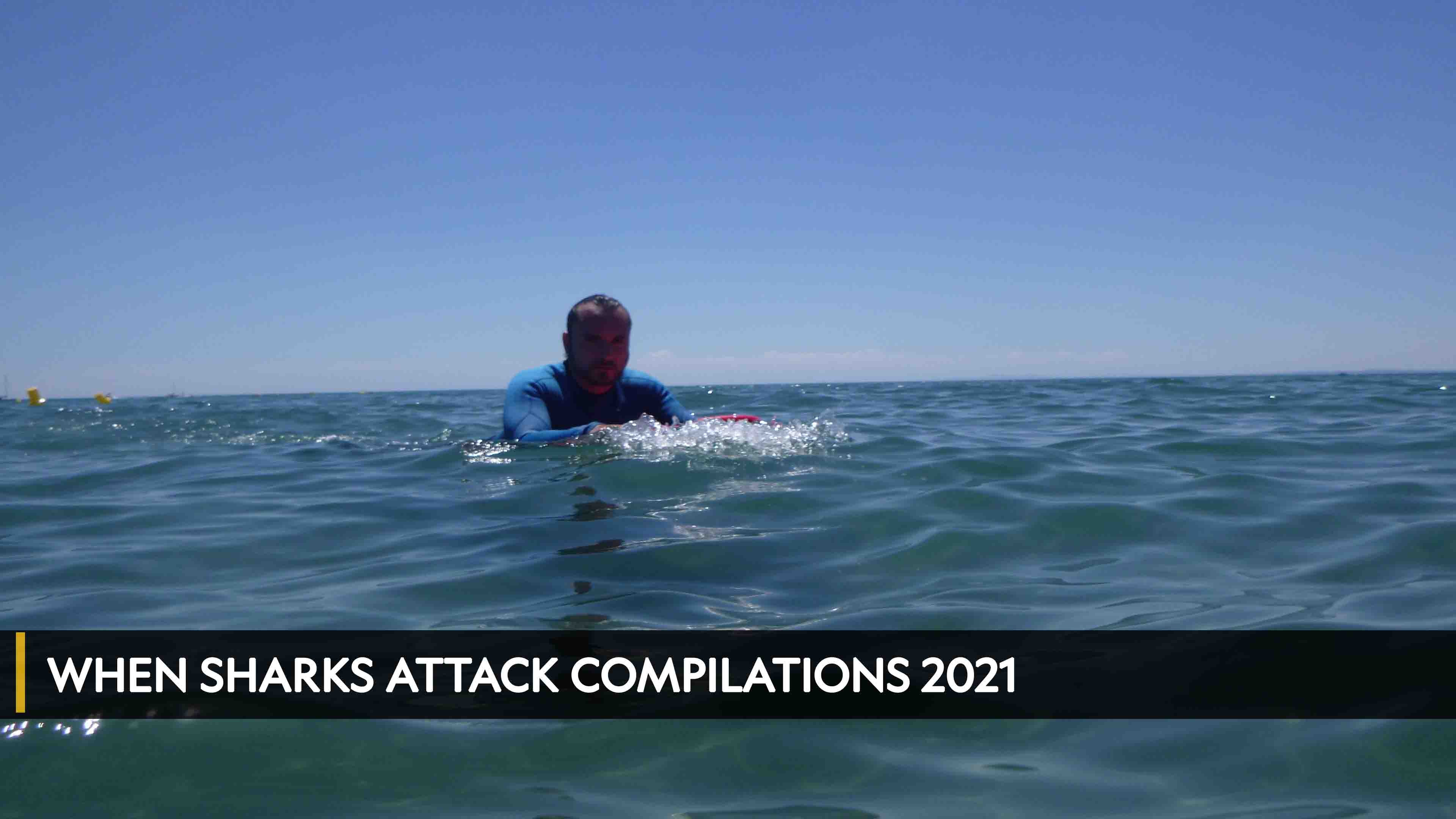 When Sharks Attack Compilations 2021
