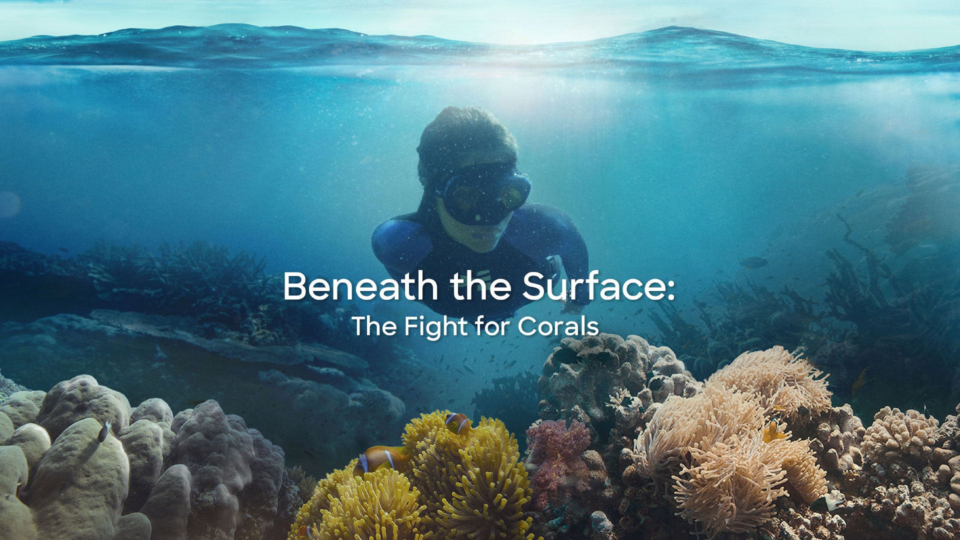Beneath The Surface: The Fight For Coral