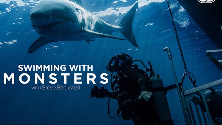 Swimming With Monsters: Steve Backshall