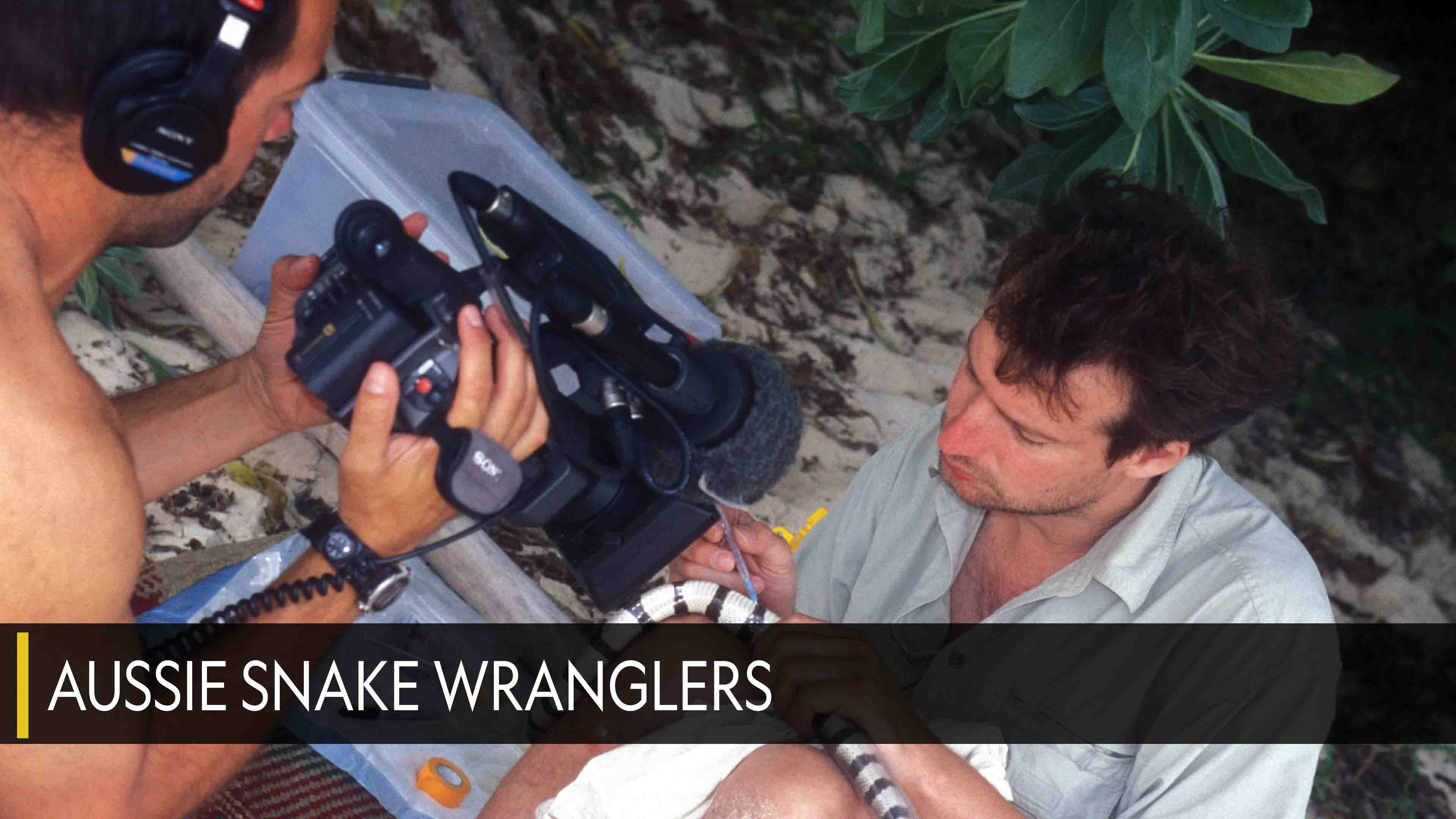Aussie Snake Wranglers