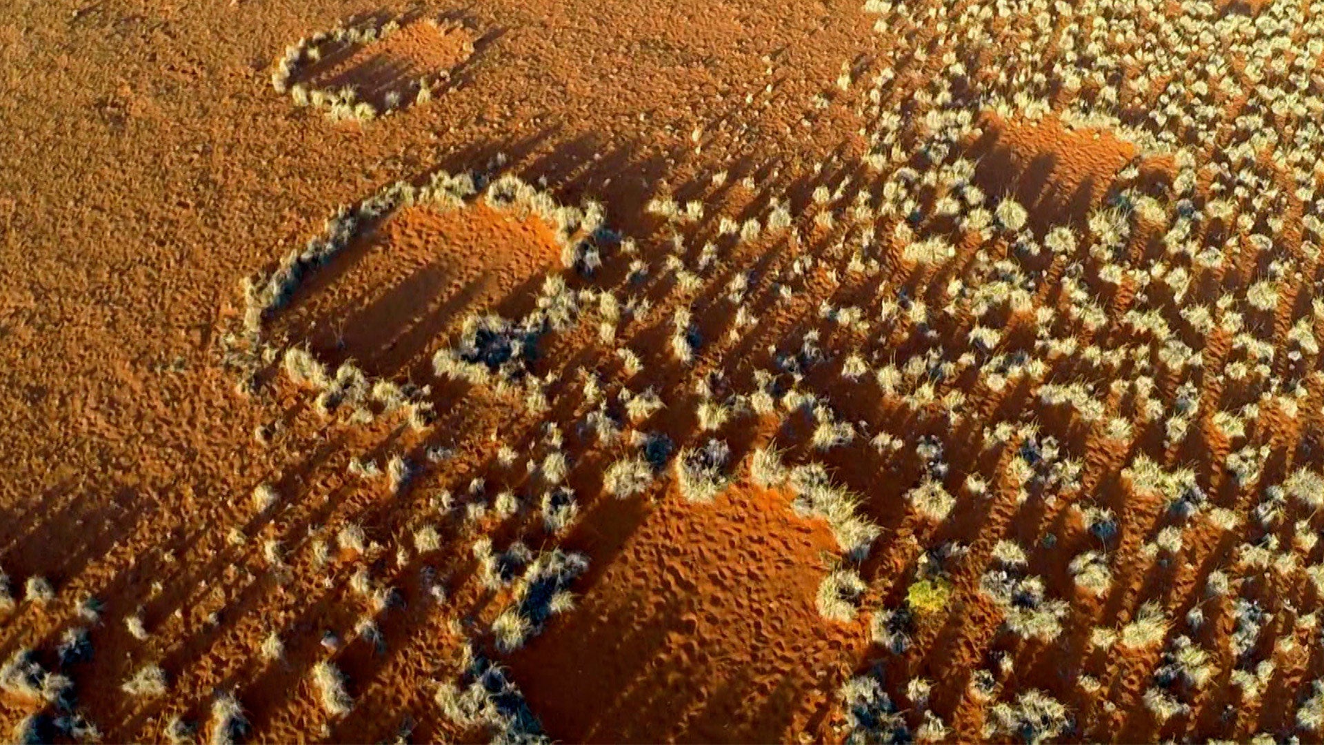 What On Earth? Season 1 Episode 2 Episode 2