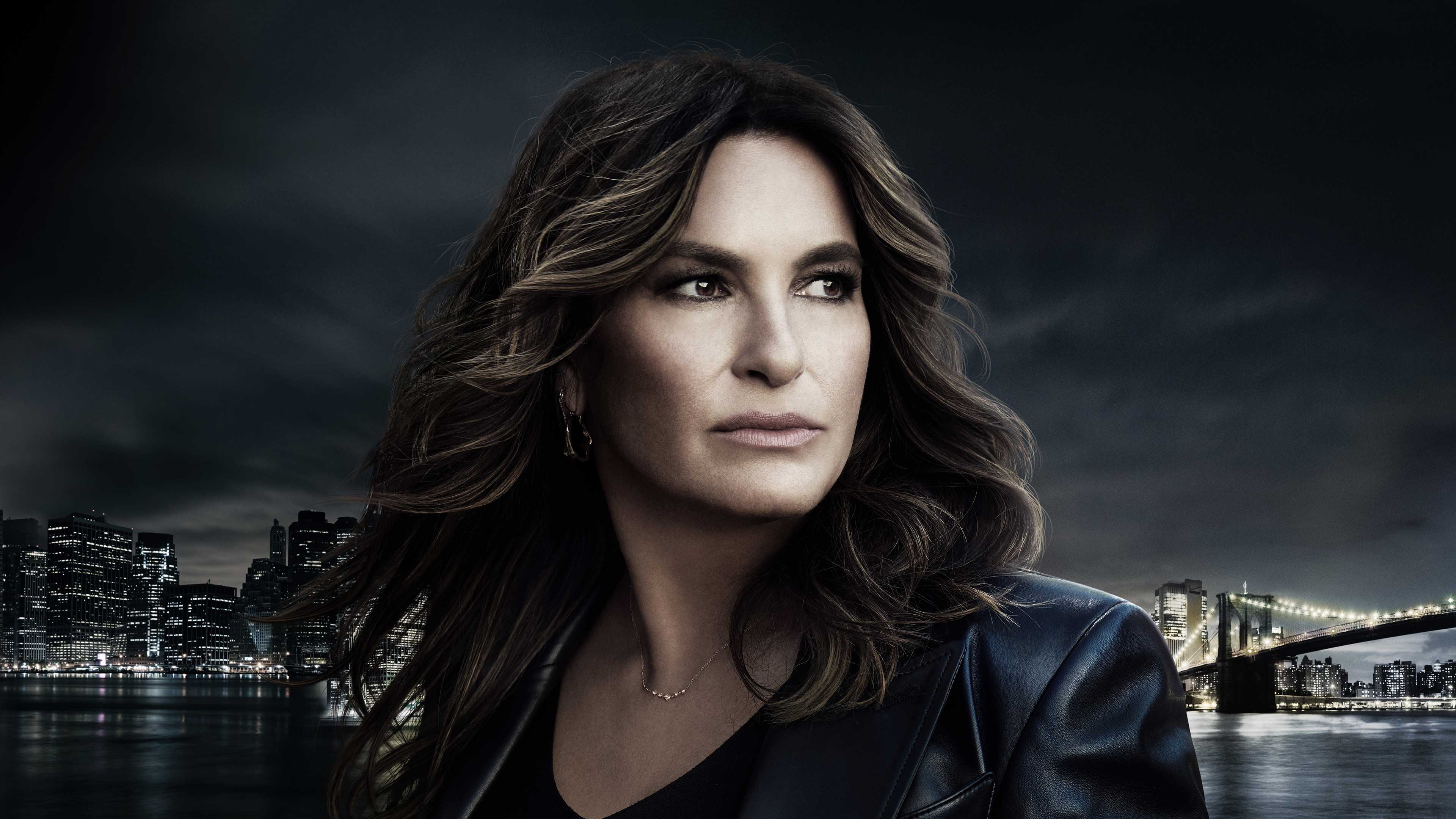 لوو أند أوردر: سبيشال فيكتمز يونيت الموسم 27 الحلقة 1 In The Wind