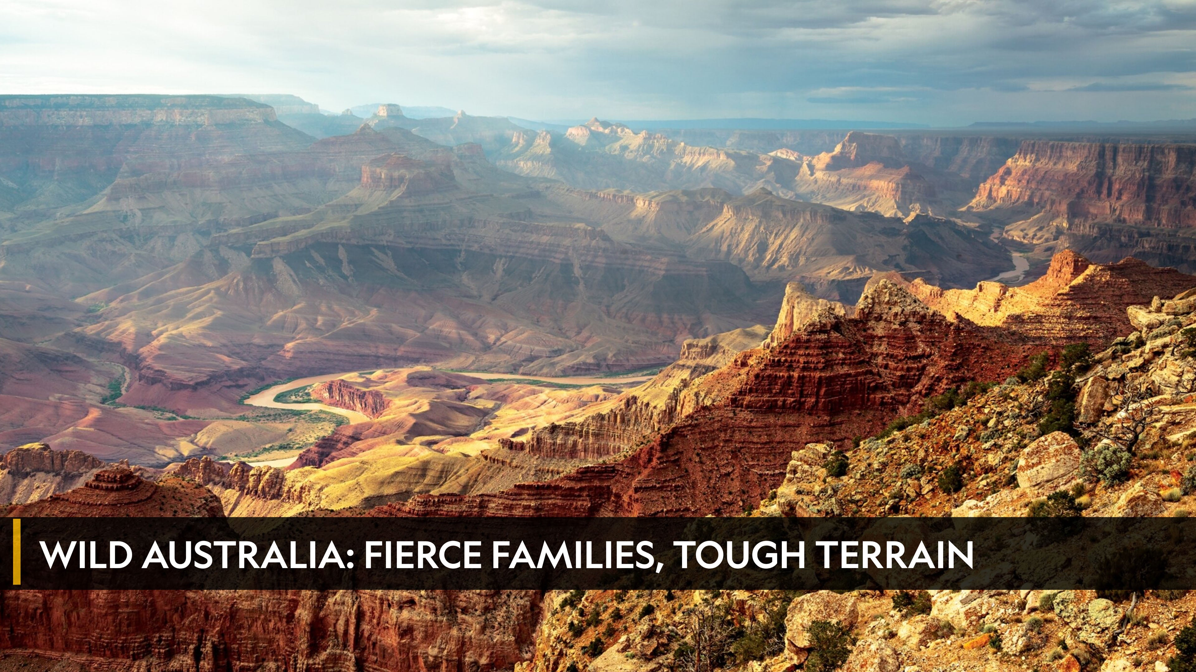 Wild Australia: Fierce Families, Tough Terrain الموسم 1 الحلقة 1 Wild Australia: Fierce Families, Tough Terrain
