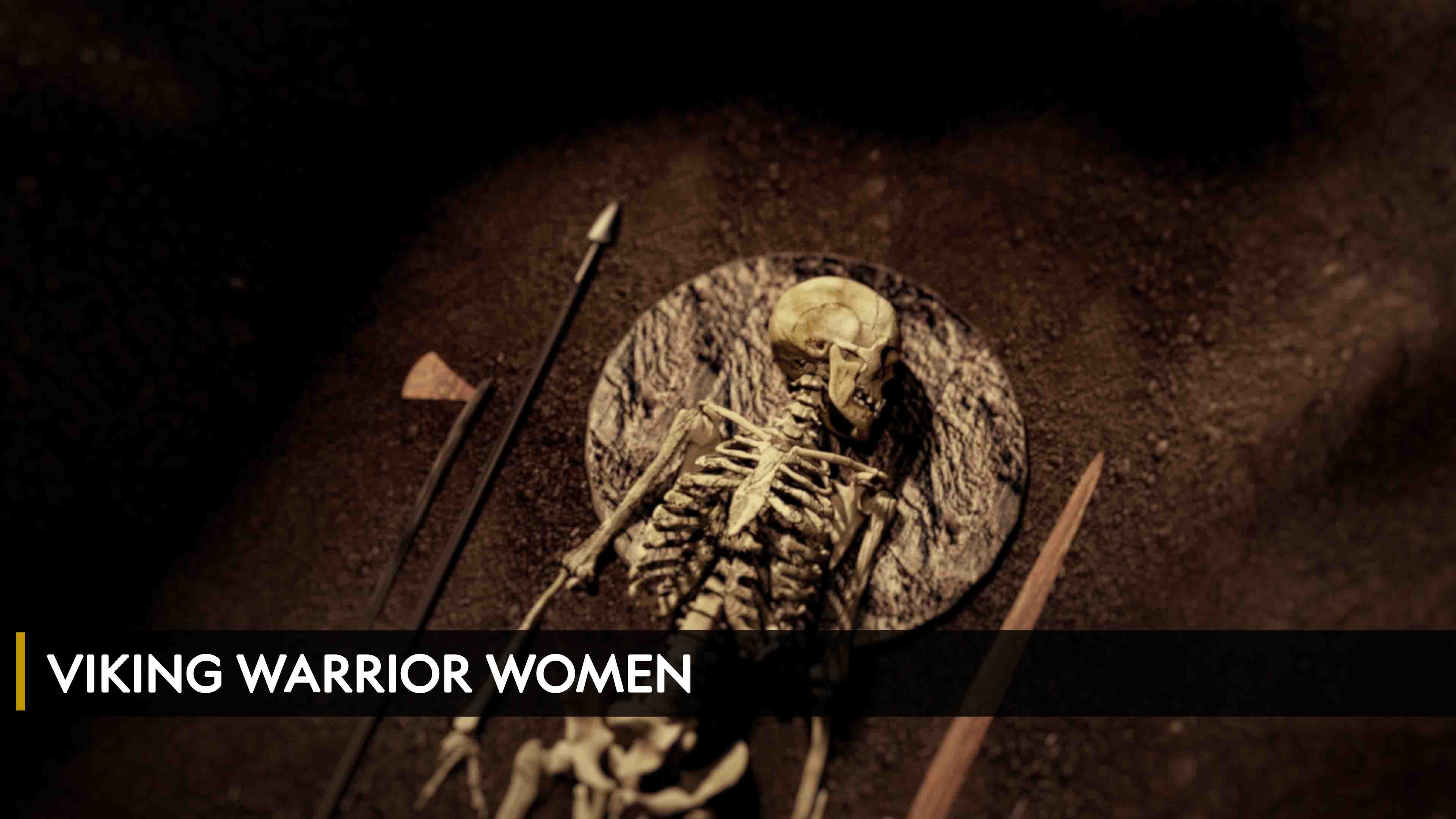 Viking Warrior Women