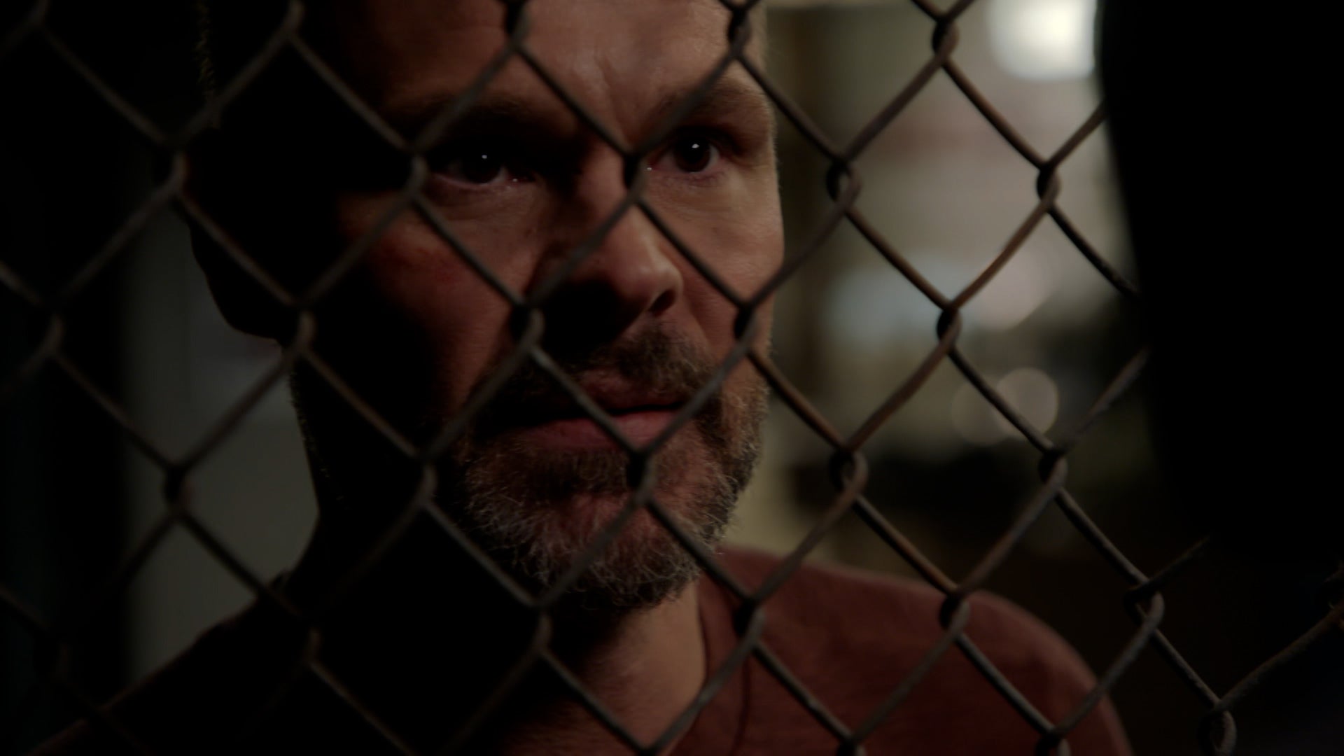 شيكاغو بي.دي. الموسم 13 الحلقة 15 عِش أو مت حسب وحدتك