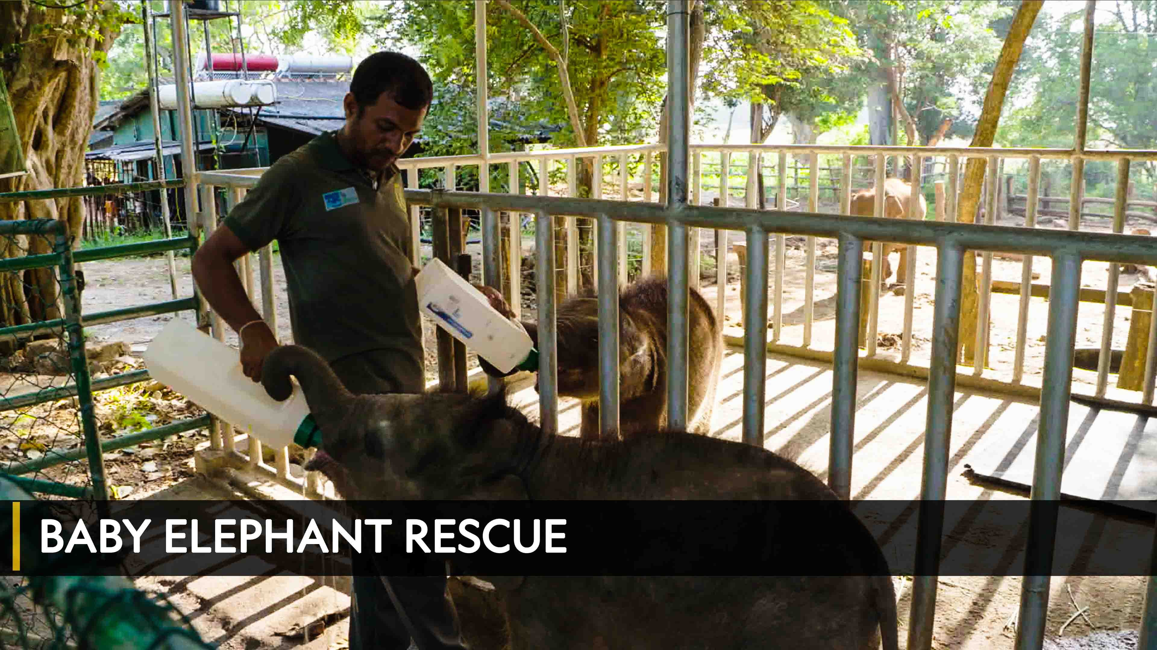 Baby Elephant Rescue الموسم 1 الحلقة 1 Baby Elephant Rescue