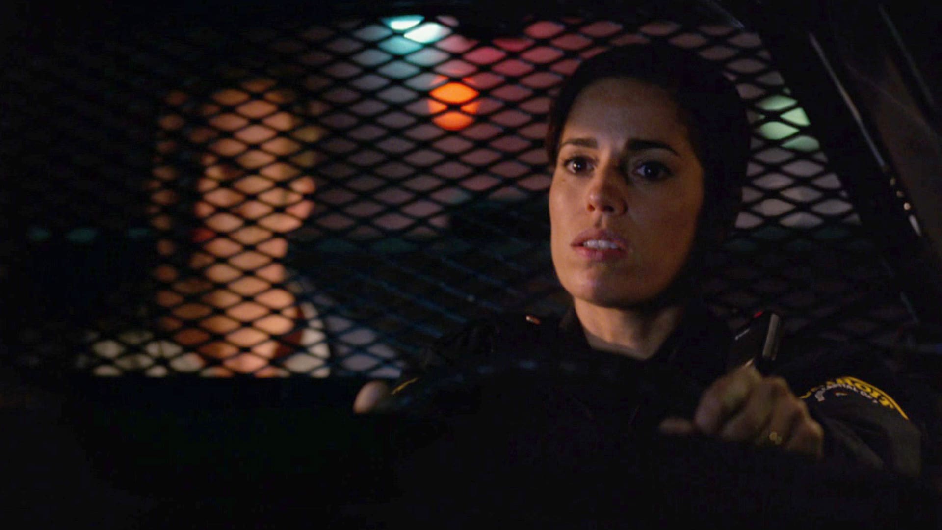 Hung Season 3 Episode 5 We're Golden Or Crooks...