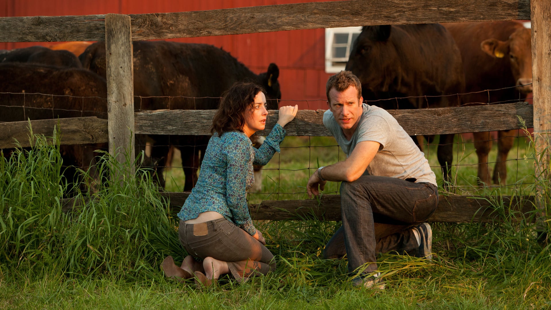 Hung Season 3 Episode 10 The Whole Beefalo