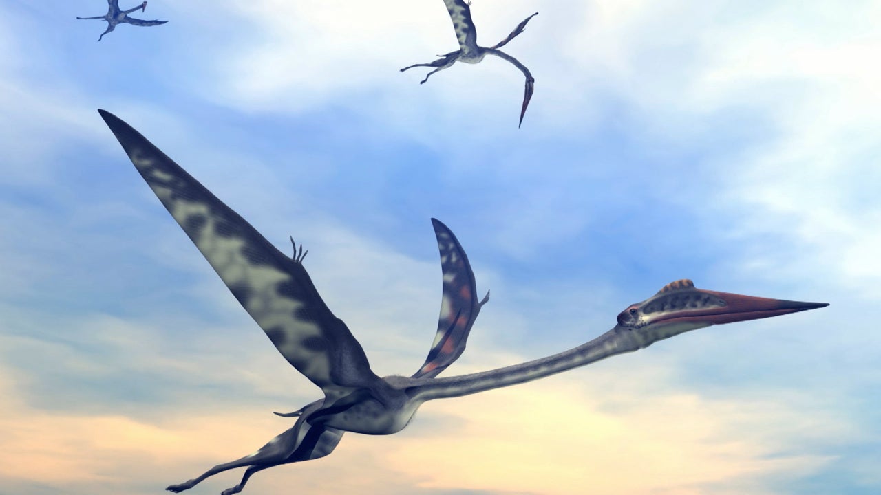 The Proof Is Out There