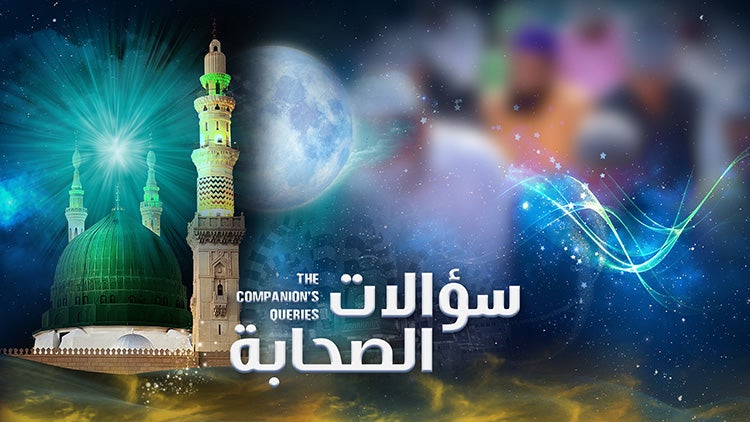 The Companion's Queries Season 1 Episode 5 Episode 5