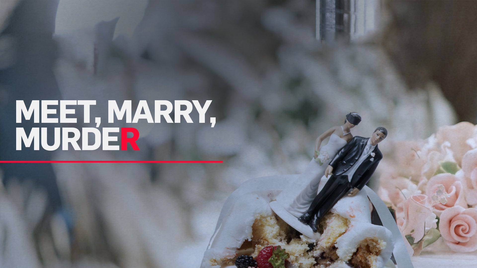 Meet, Marry, Murder