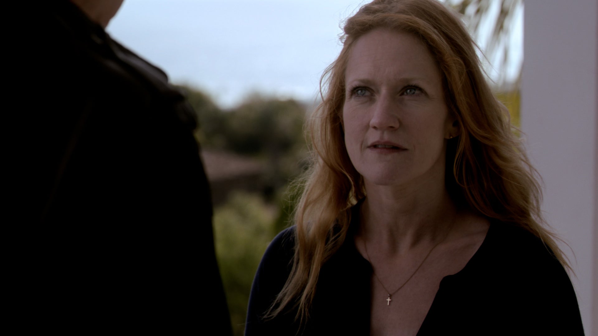 Ray Donovan Season 1 Episode 12 Same Exactly