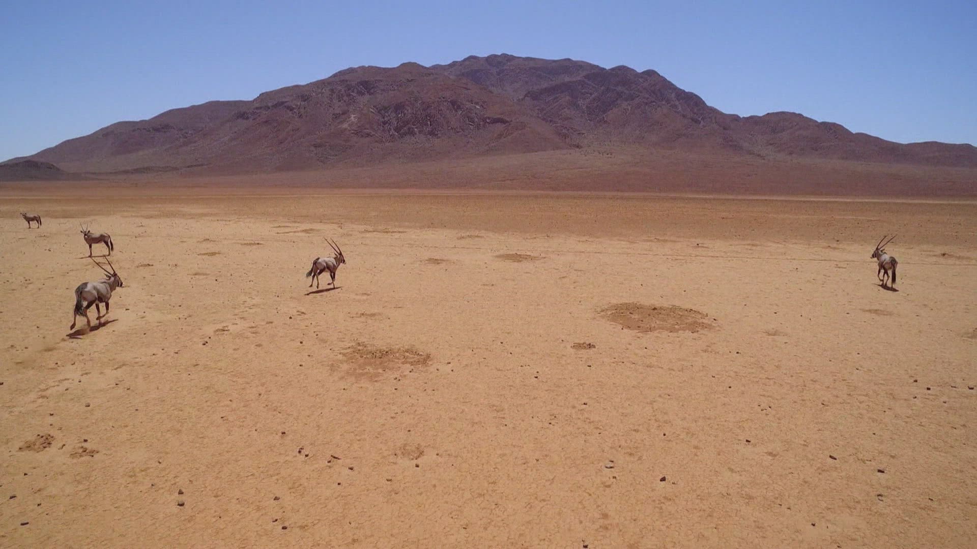 أنشنت إليينز الموسم 11 الحلقة 5 ذا ديزيرت كودس