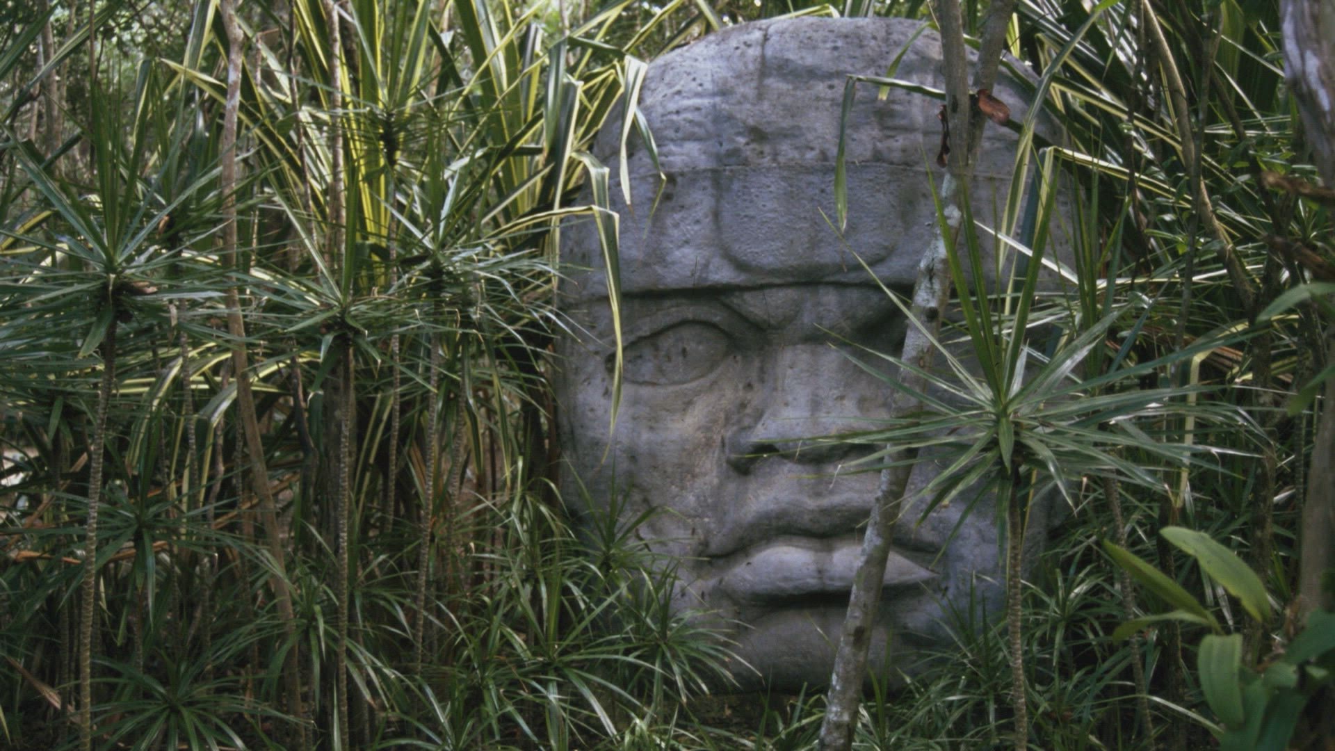 Ancient Aliens Season 11 Episode 15 The Alien Phenomenon