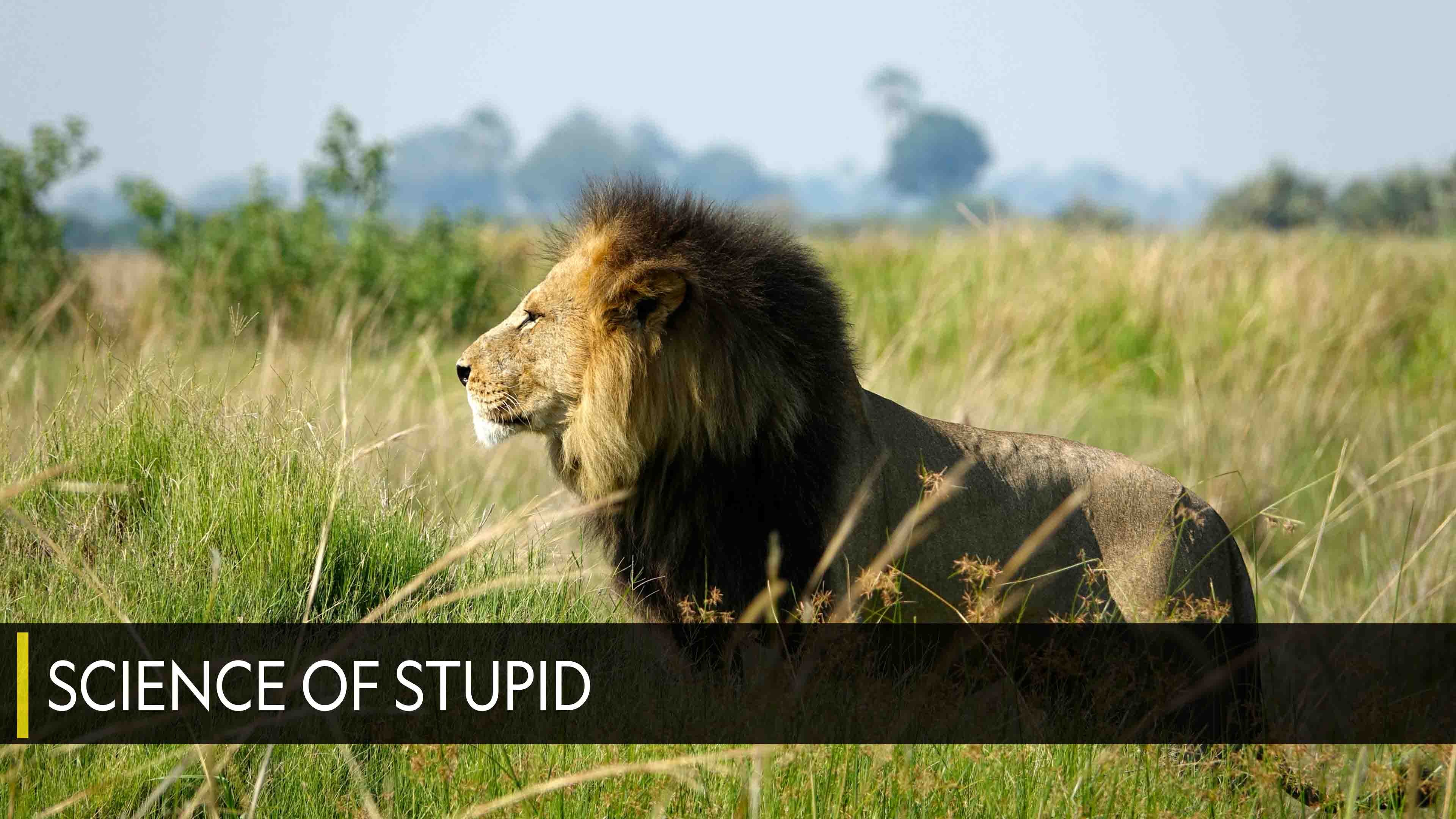 راين أوف تيرور