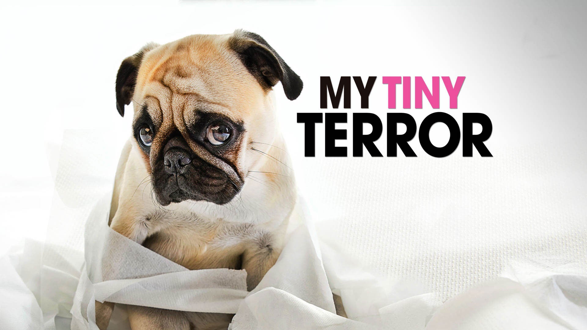My Tiny Terror