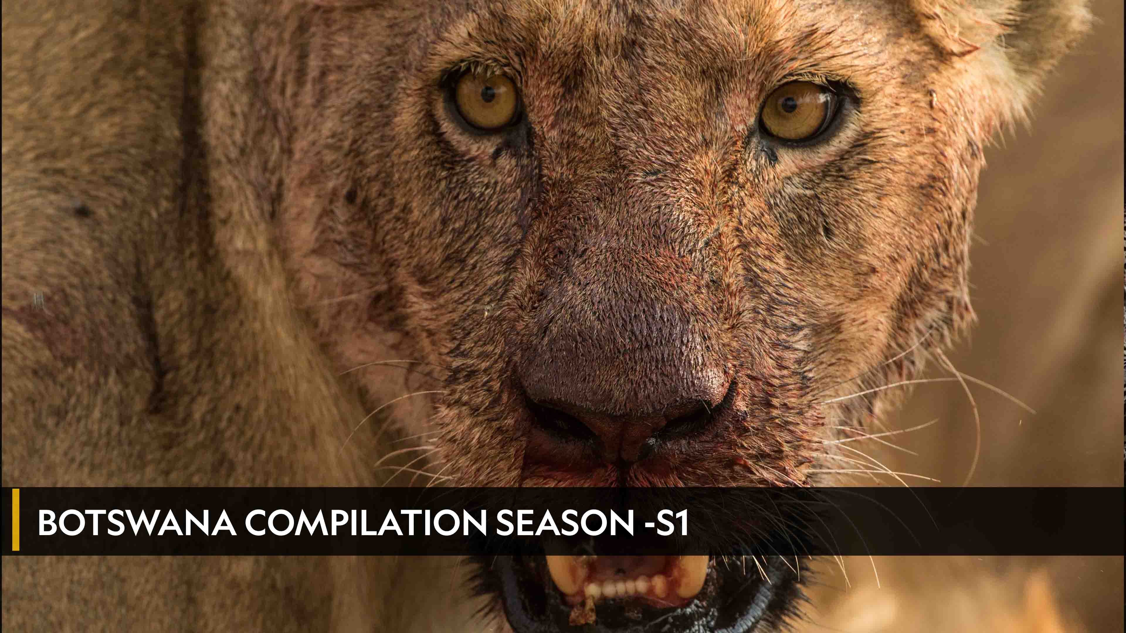 Watch Botswana Compilation Season on TV OSN Home Jordan