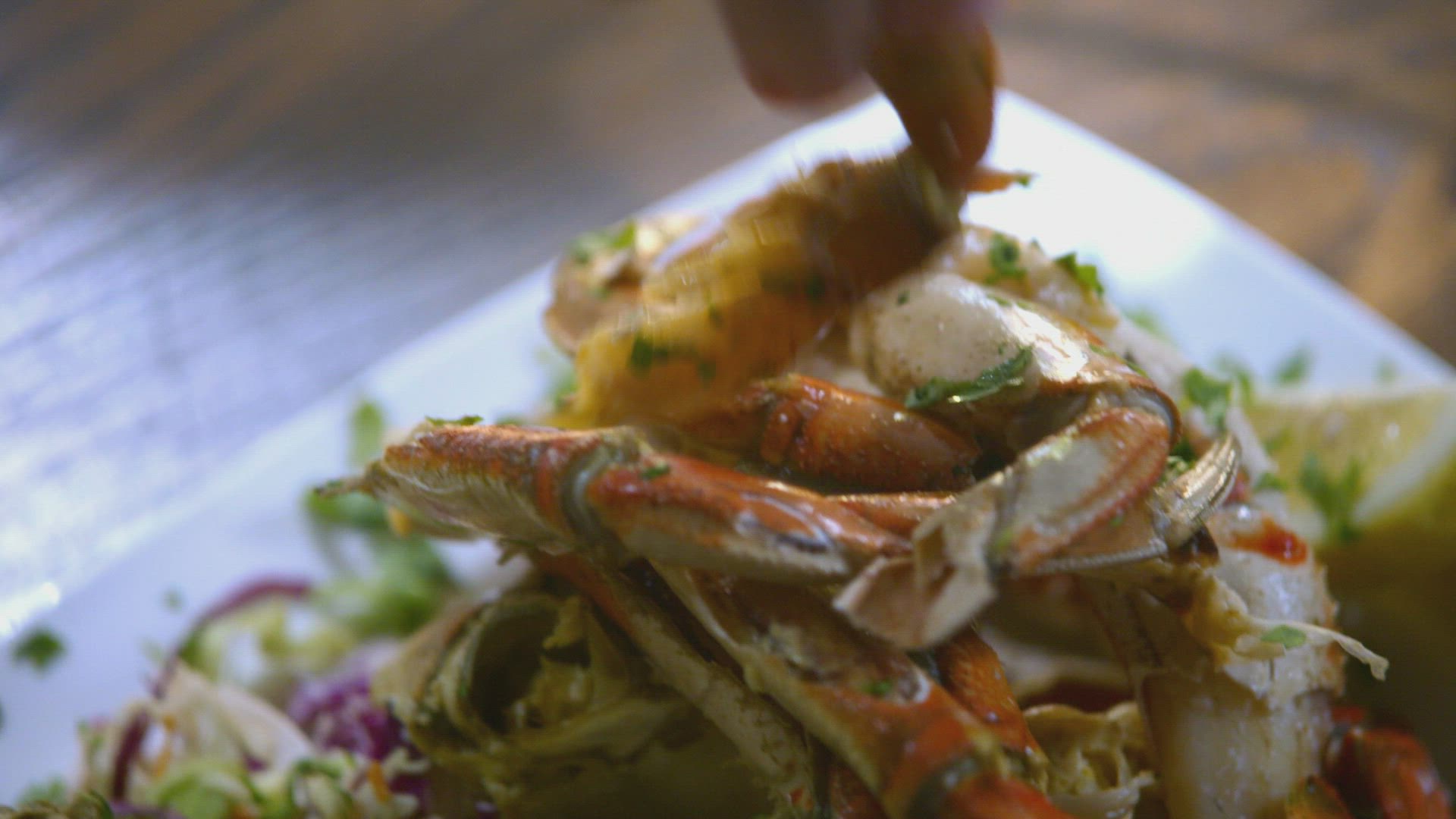 أنثوني بوردين : بارتس أناون الموسم 10 الحلقة 7 سياتل