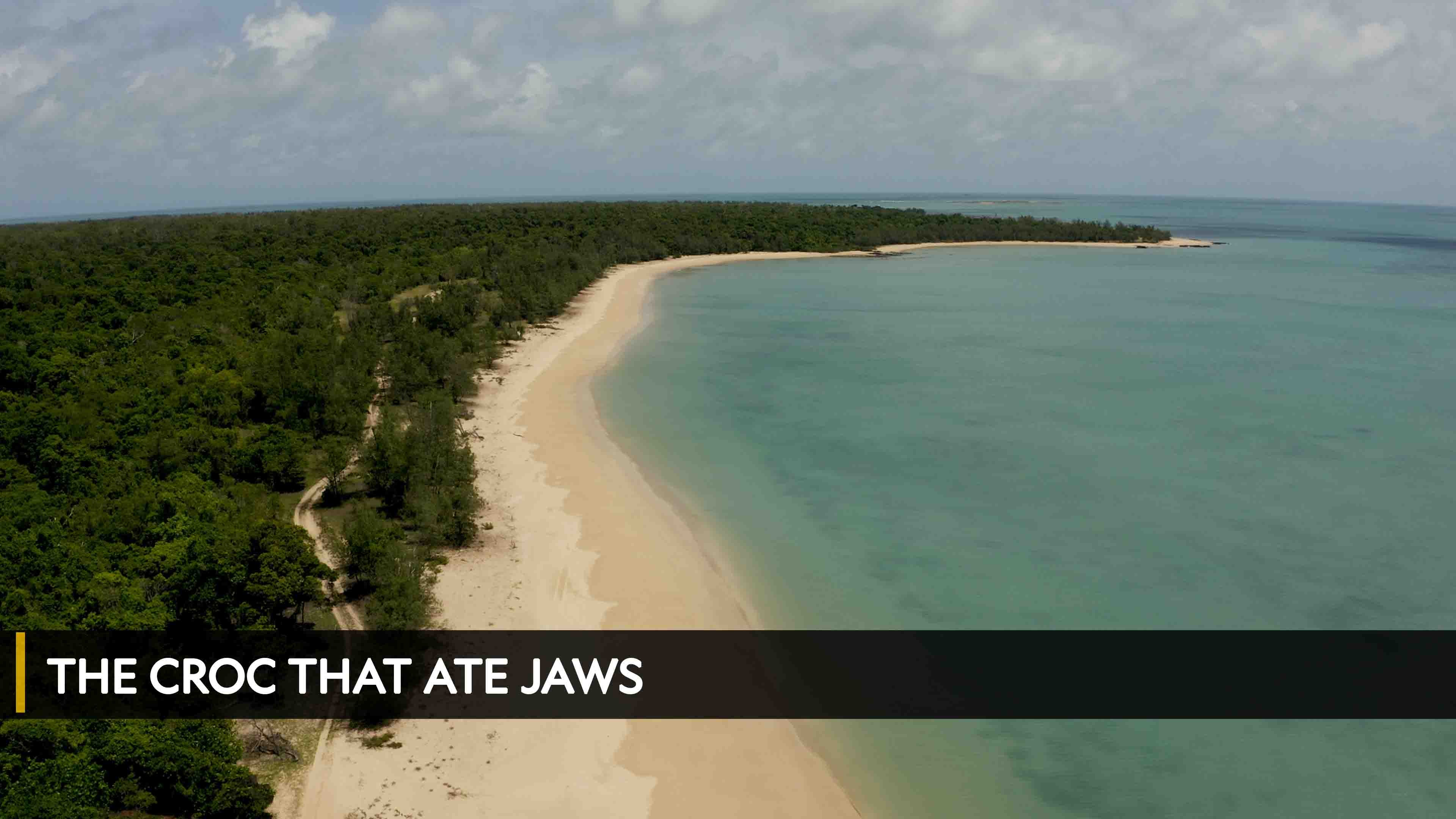 The Croc That Ate Jaws