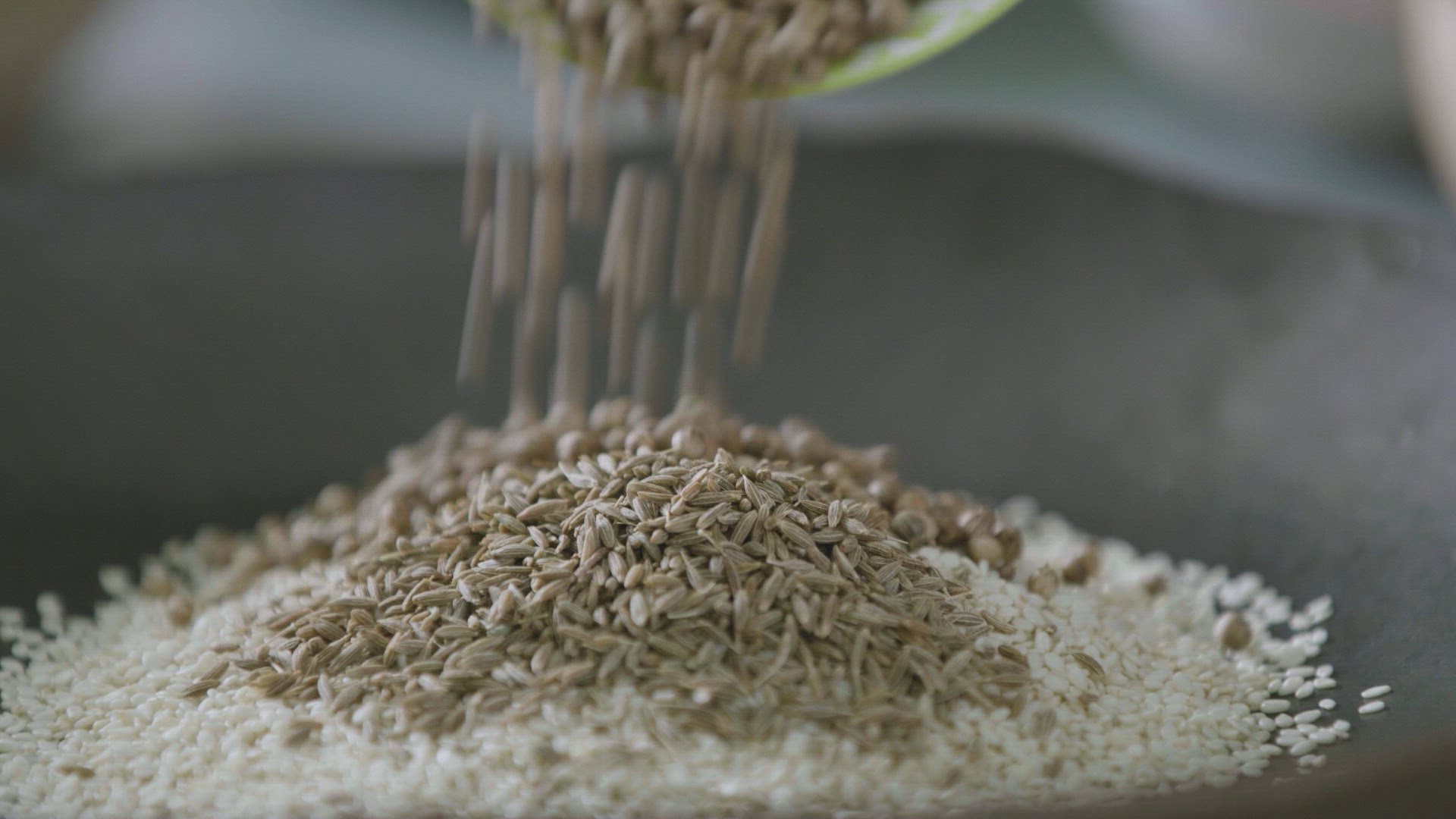 Bondi Harvest With Guy Turland Season 1 Episode 4 Work Hard, Play Hard