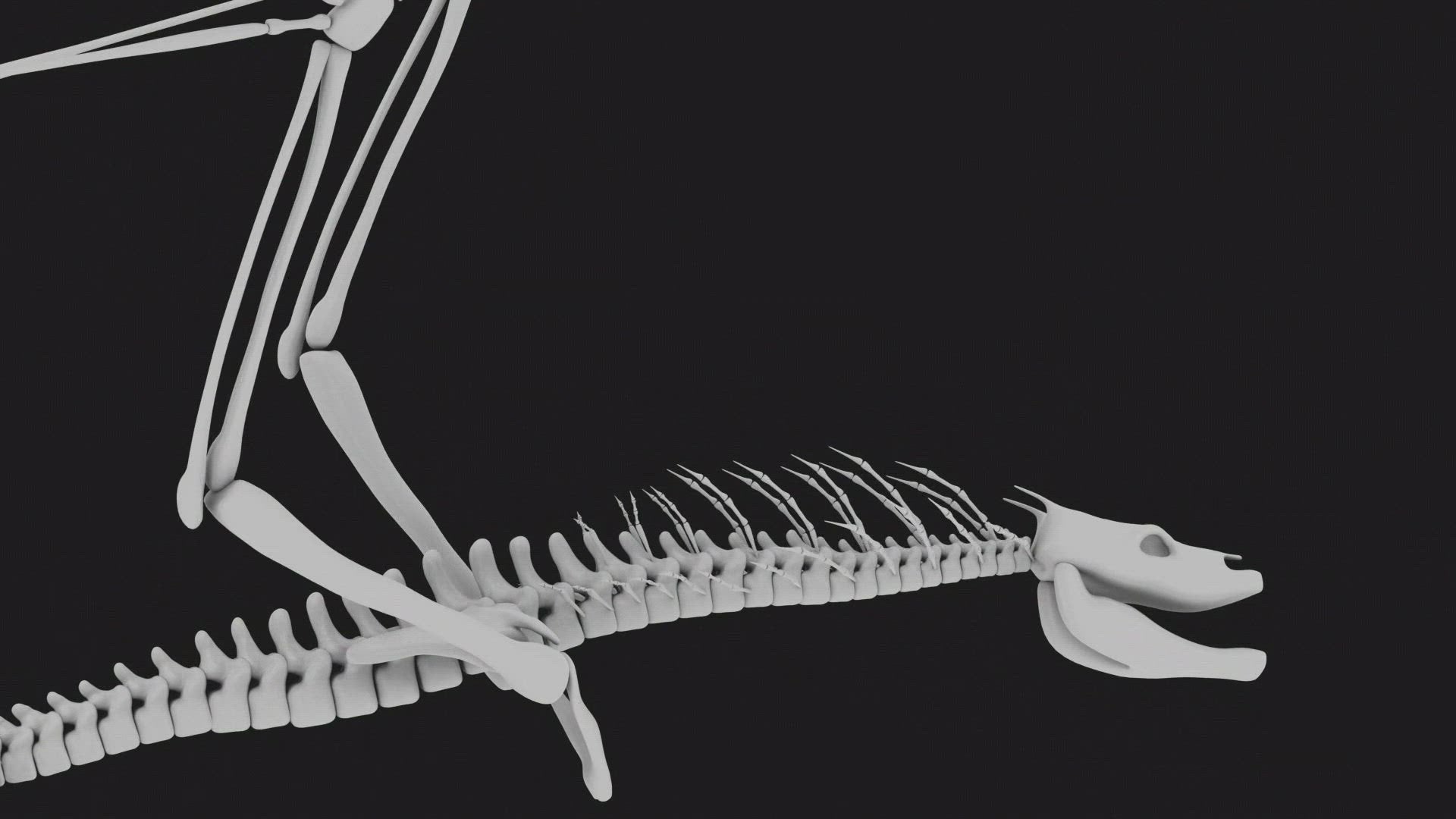 Game Of Thrones: Specials Season 6 Episode 2 Visual Effects