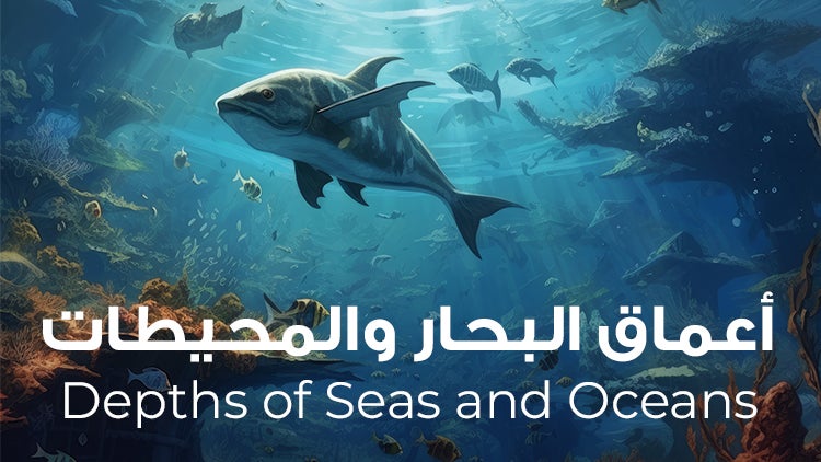 Depths of Seas and Oceans Season 2 Episode 19 Episode 19