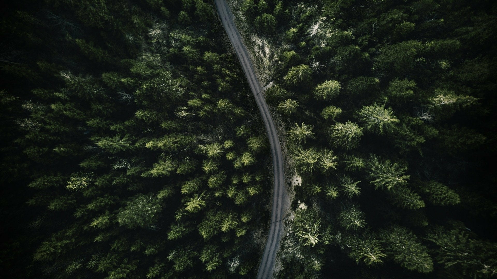 ذا وندرلاند مردرز الموسم 1 الحلقة 4 ايه ميستري إن ذا باينس