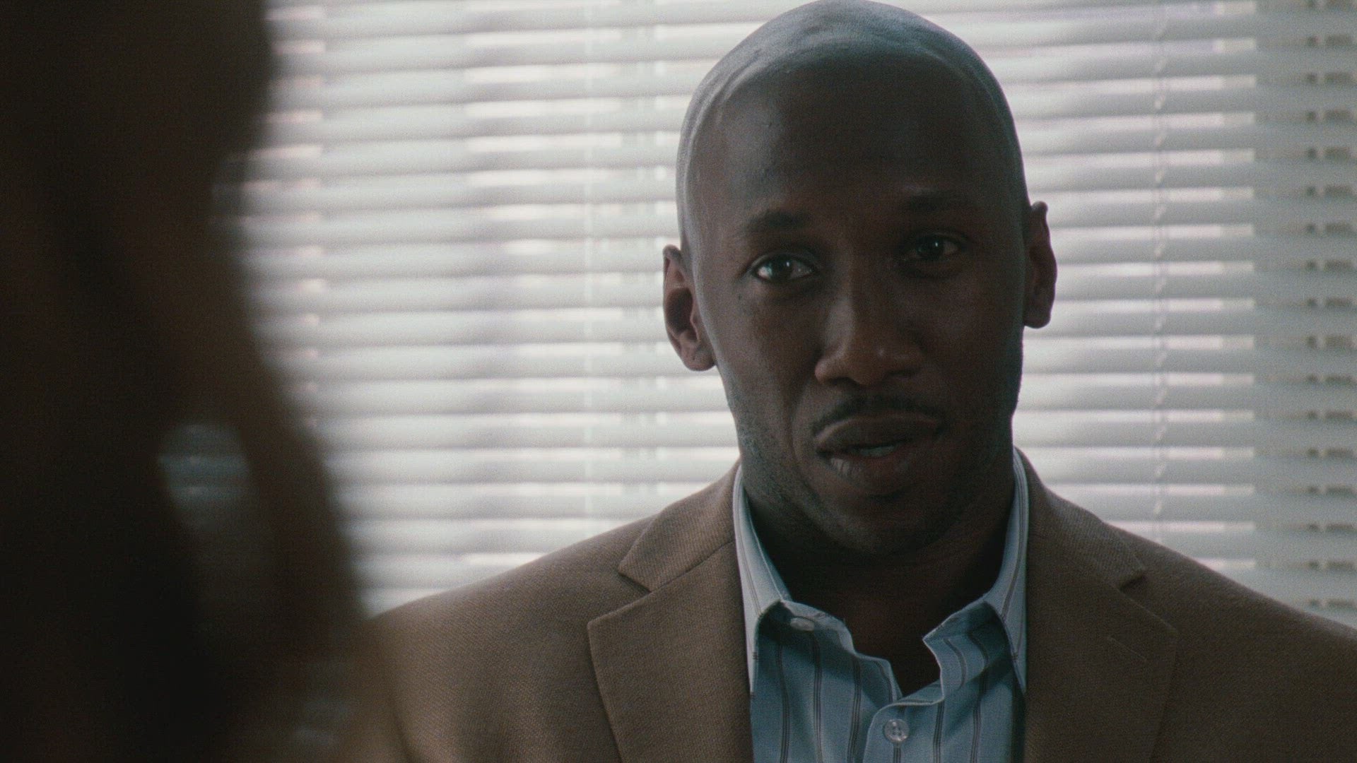 تريم الموسم 2 الحلقة 8 كان آي شينج ماي مايند؟