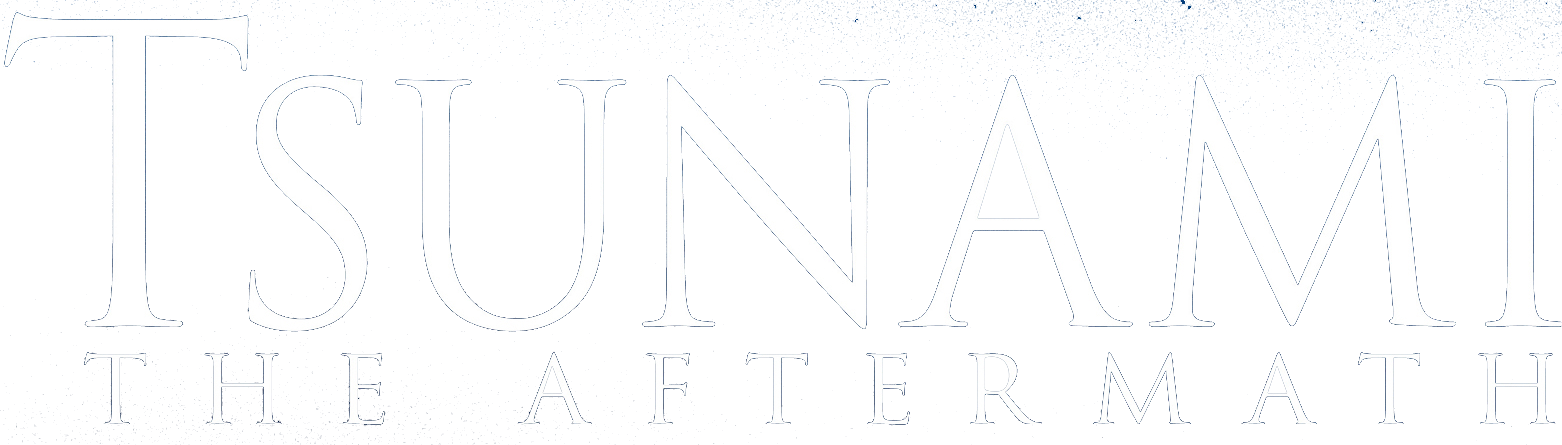 Tsunami: The Aftermath