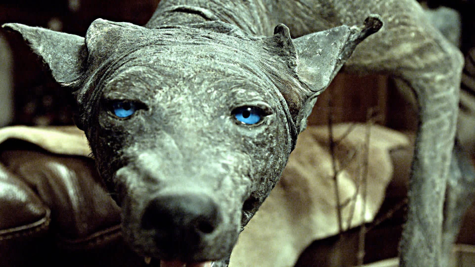 The Unxplained With William Shatner Season 1 Episode 4 Strange Creatures