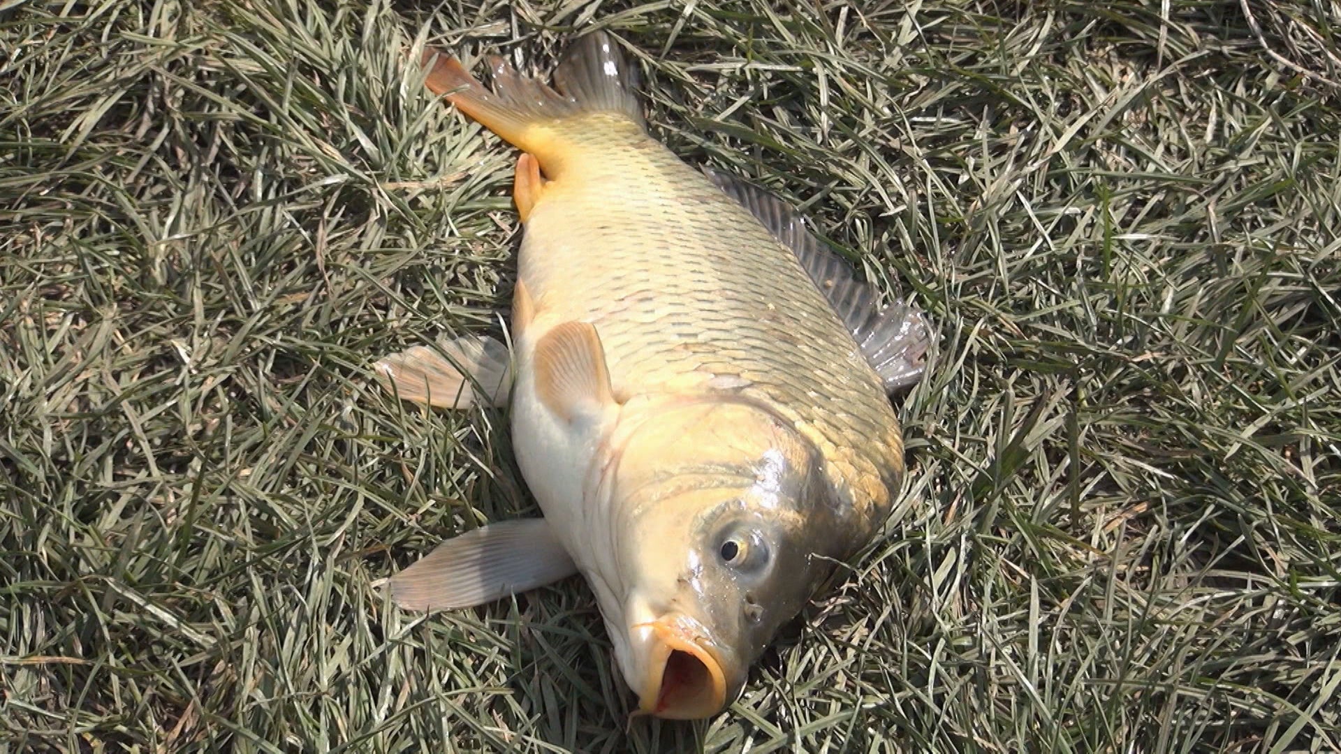 The Unxplained With William Shatner Season 1 Episode 13 Extreme Weather Mysteries