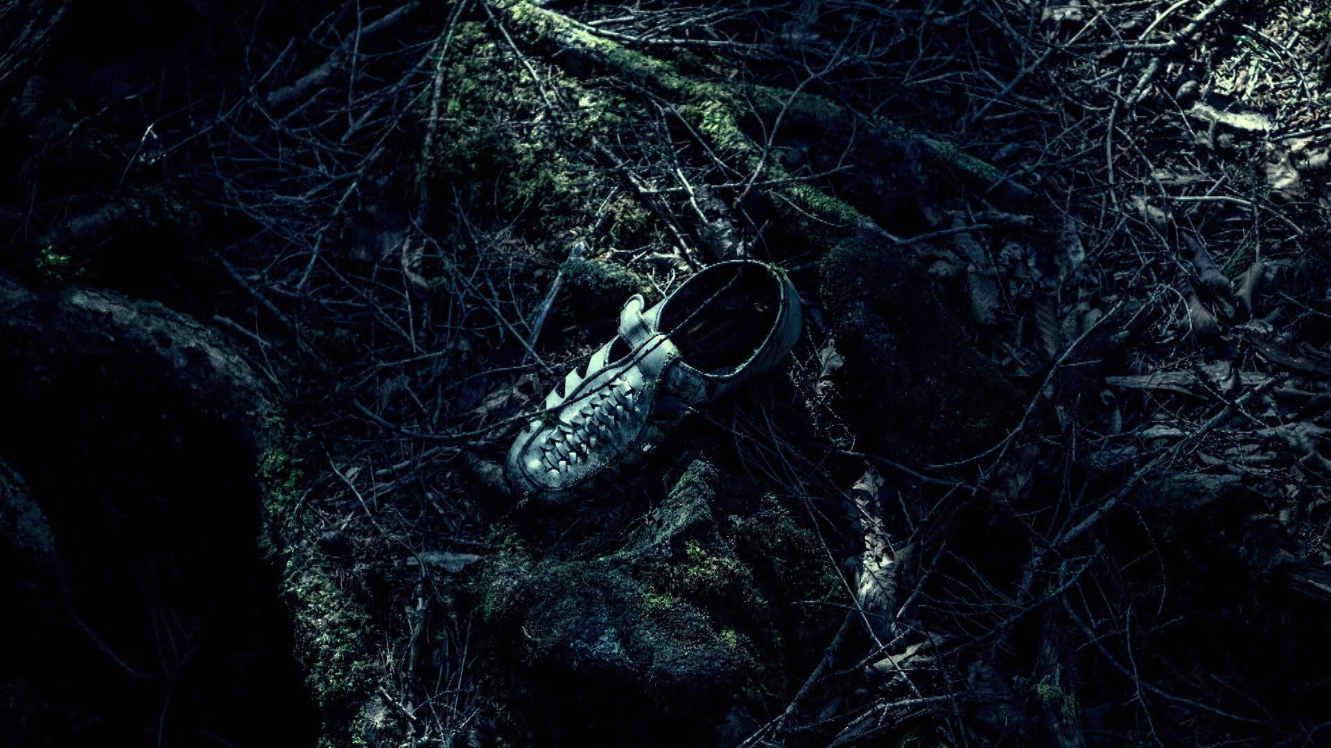 The Unxplained With William Shatner Season 1 Episode 10 The Oak Island Curse