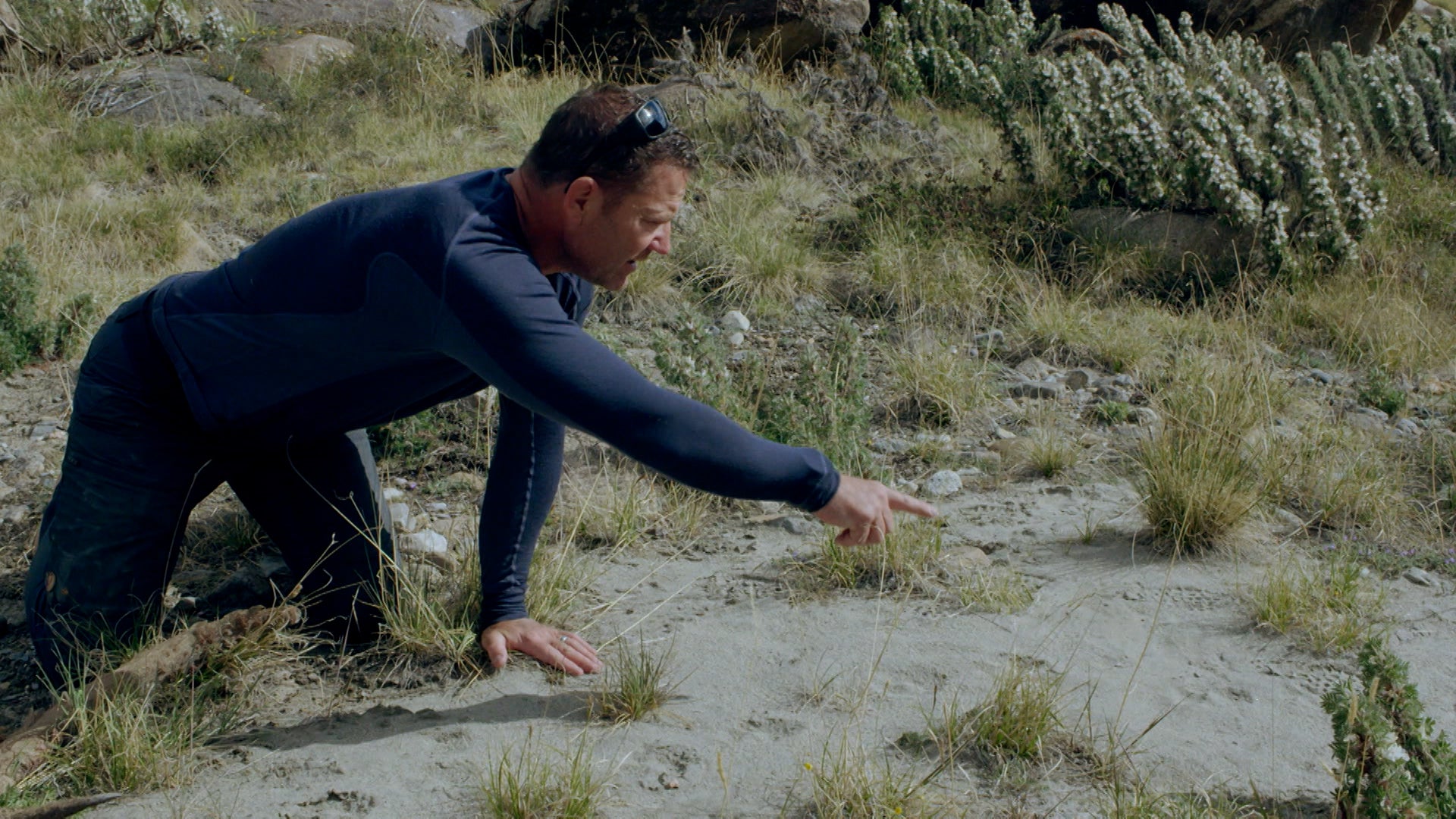 Expedition With Steve Backshall Season 2 Episode 3 Kyrgyzstan: Expedition Mountain Ghost