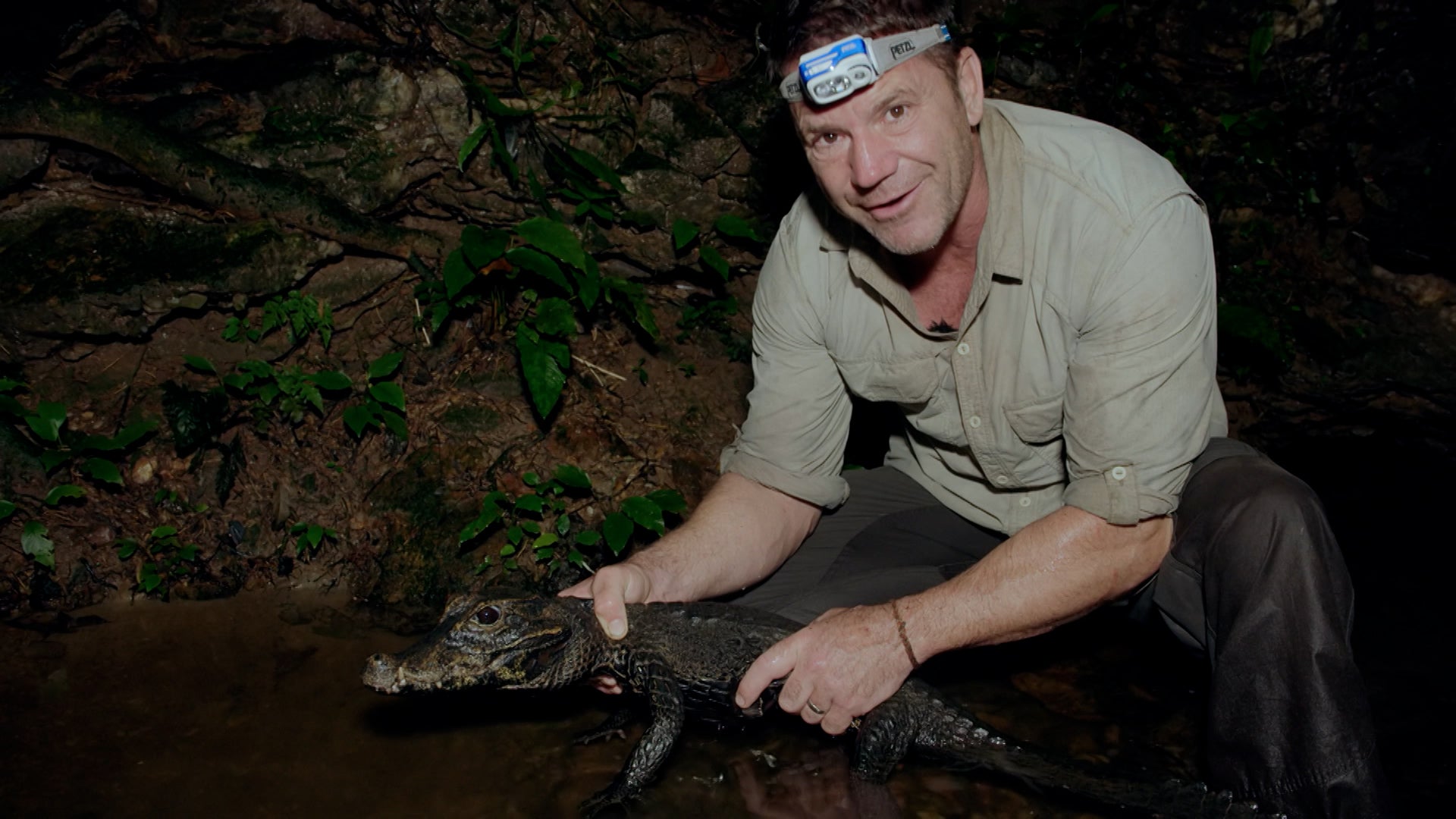 Expedition With Steve Backshall Season 2 Episode 4 Gabon: Expedition Jungle Paradise