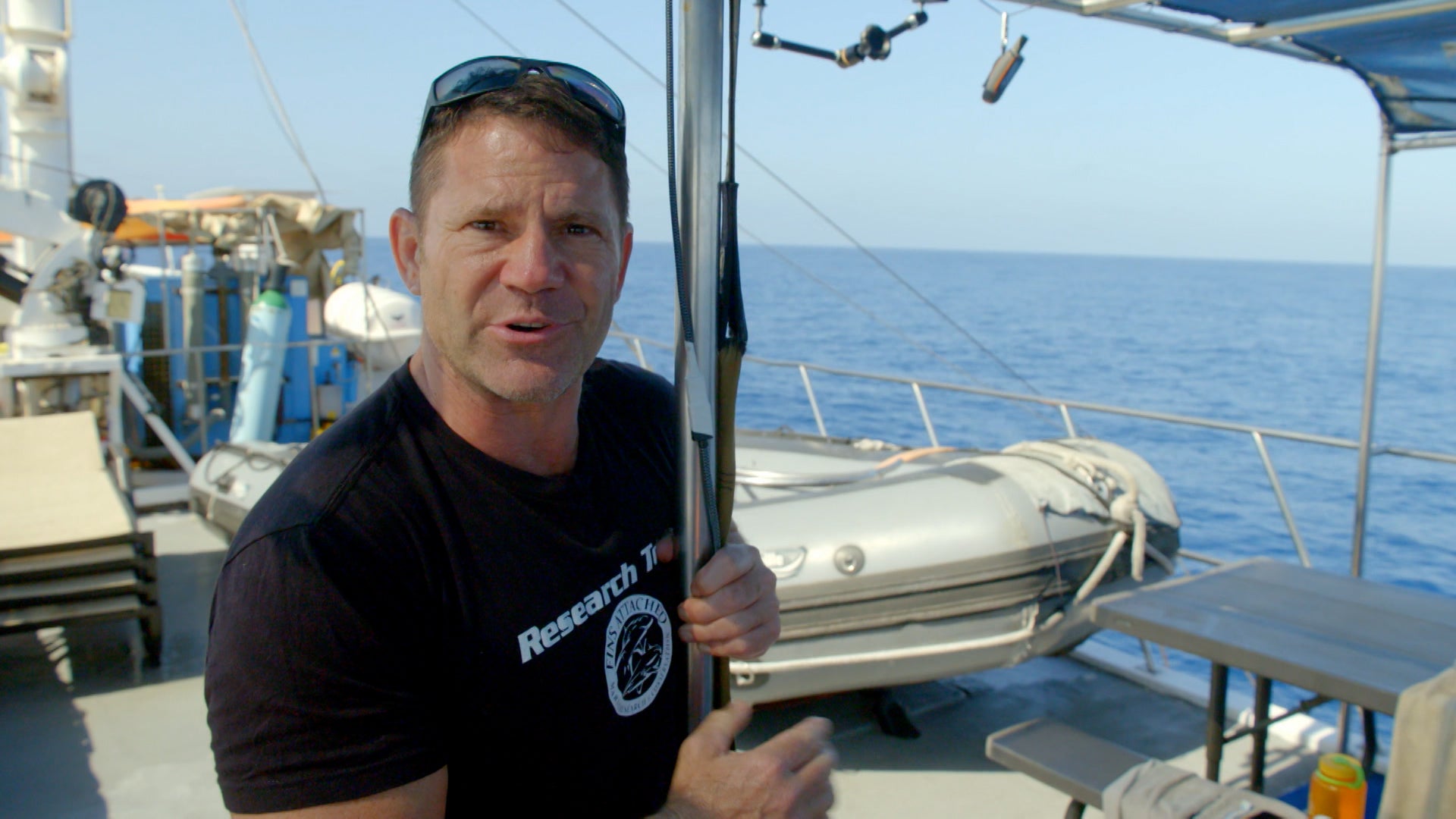 Expedition With Steve Backshall Season 2 Episode 5 Socorro: Expedition Shark Island