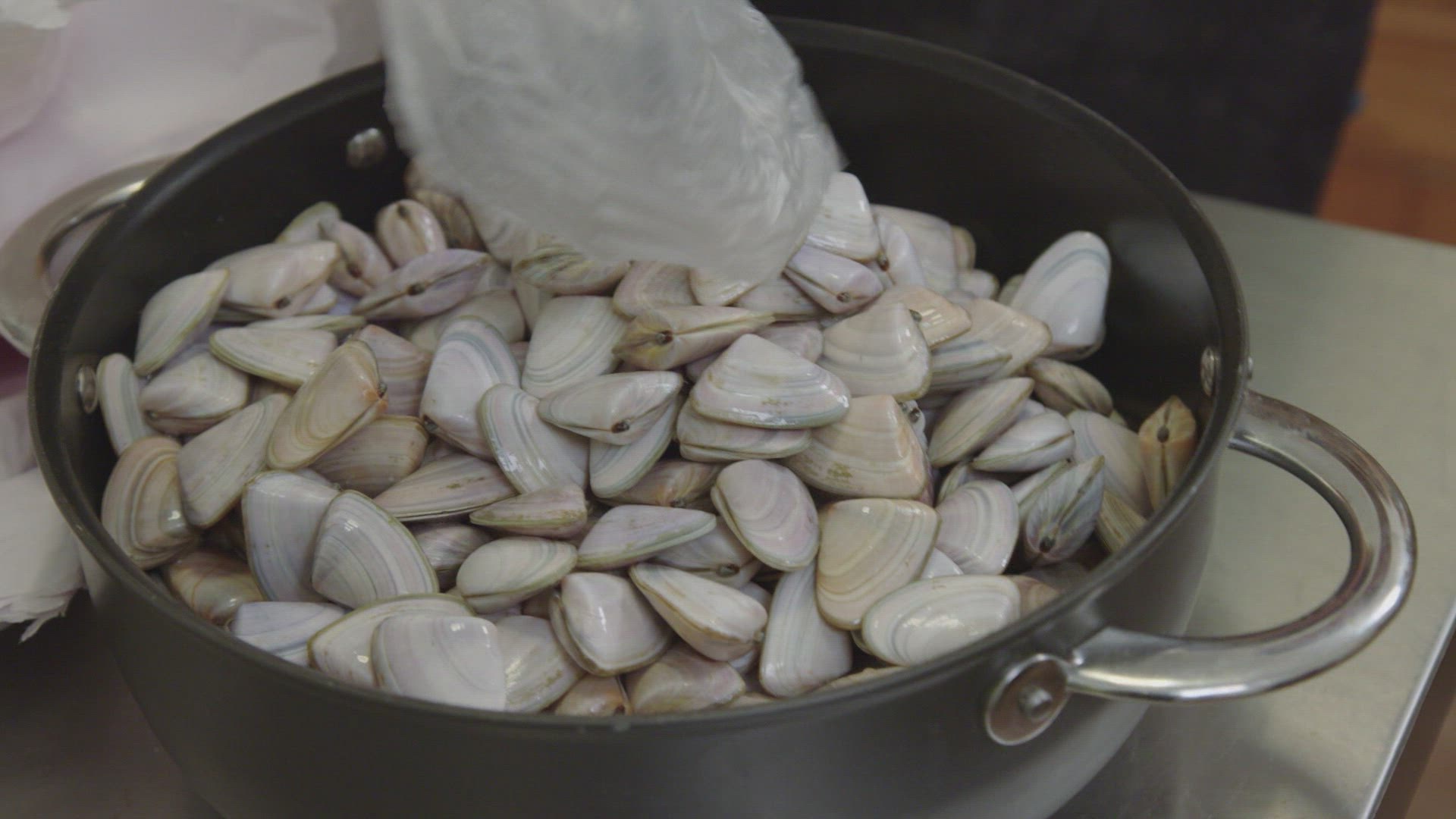 My Kitchen Rules Australia Season 10 Episode 8 Instant Restaurant 1-8: Josh & Austin