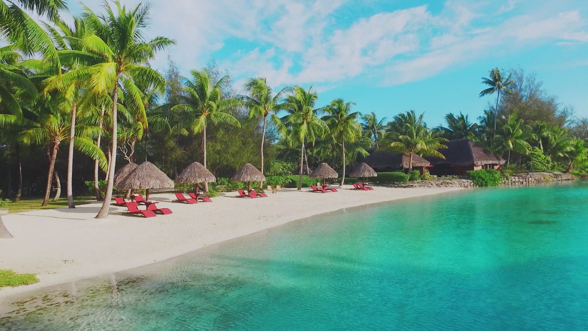 ون فور ذا رود الموسم 1 الحلقة 4 غونارولاز لونار نيو يير