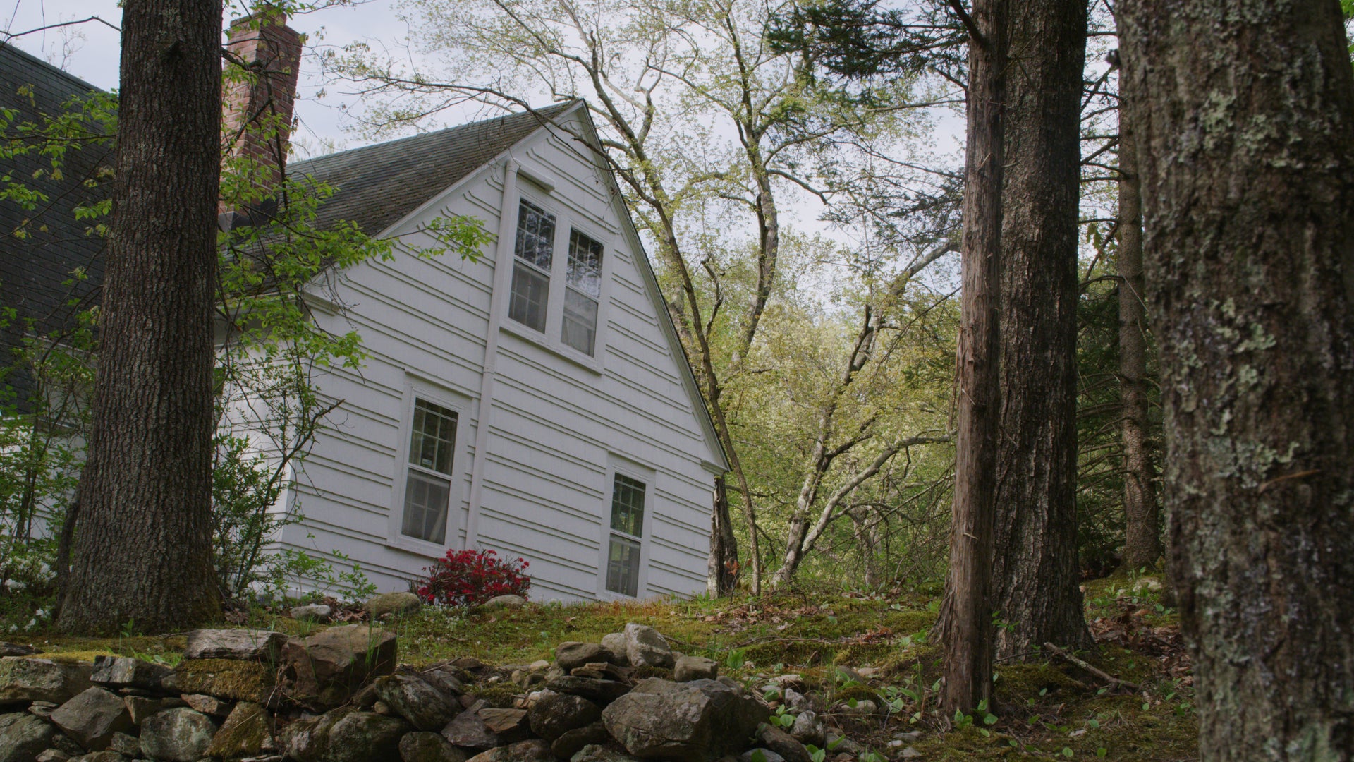 Signs Of A Psychopath Season 1 Episode 2 Into The Woods At Midnight