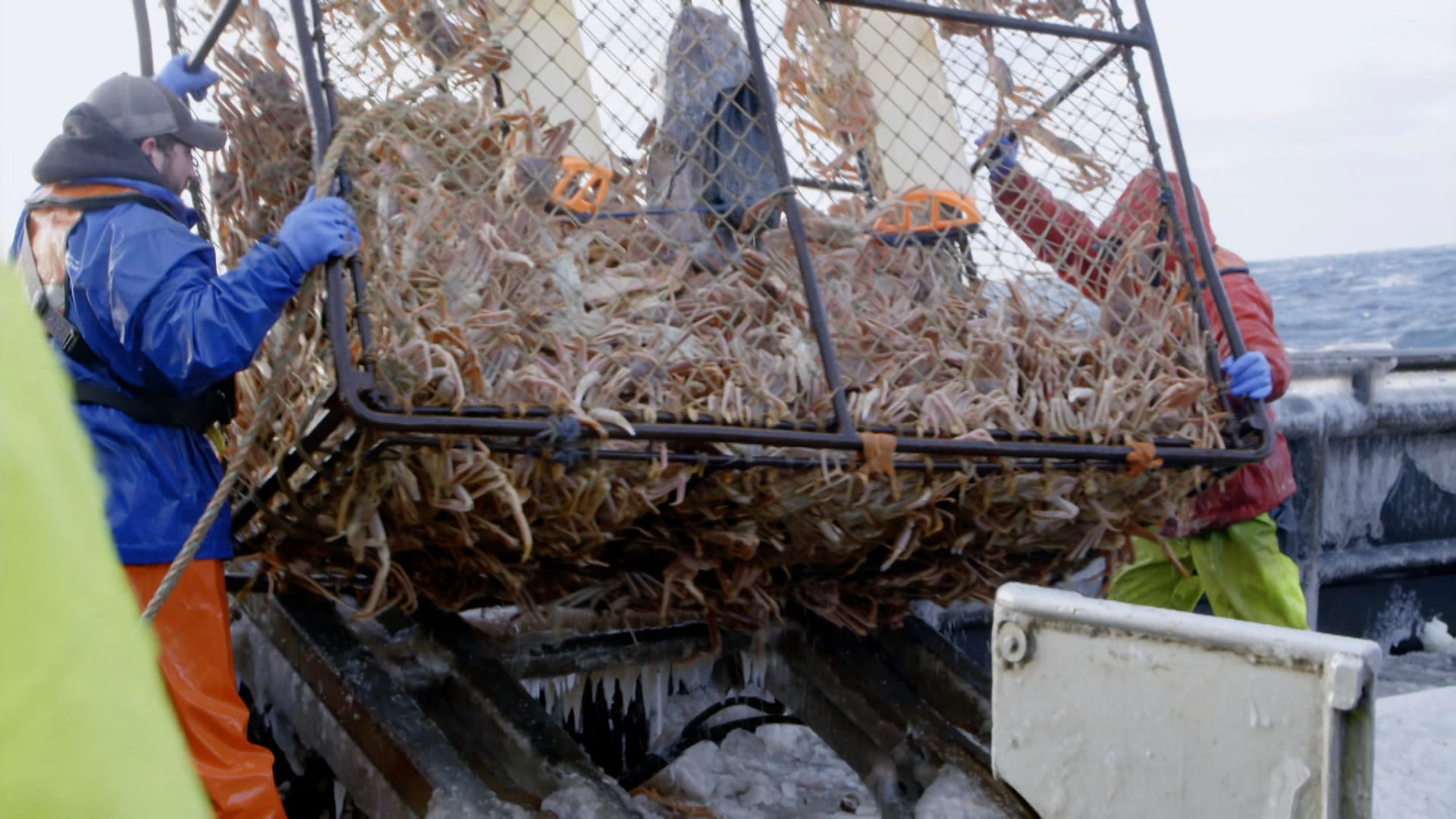 Deadliest Catch Season 16 Episode 15 Gut Instinct