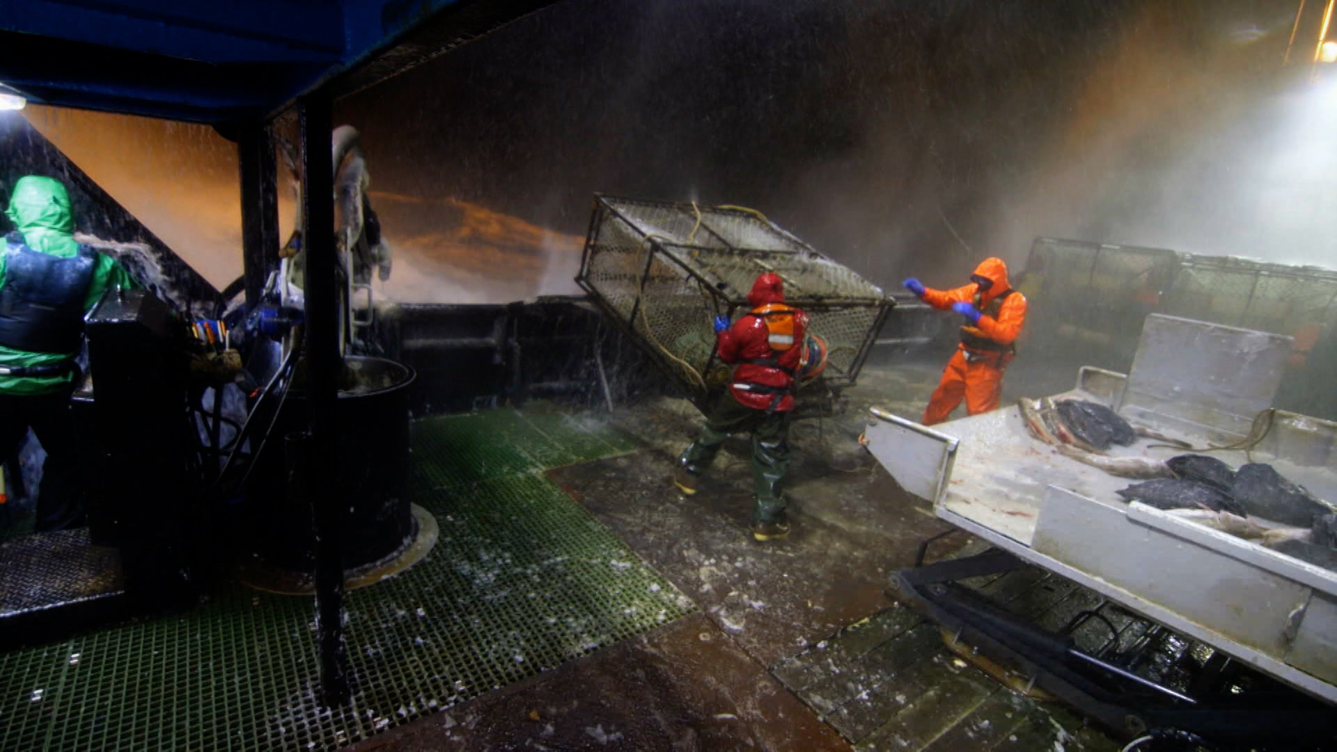 Deadliest Catch Season 18 Episode 19 Avian Apocalypse