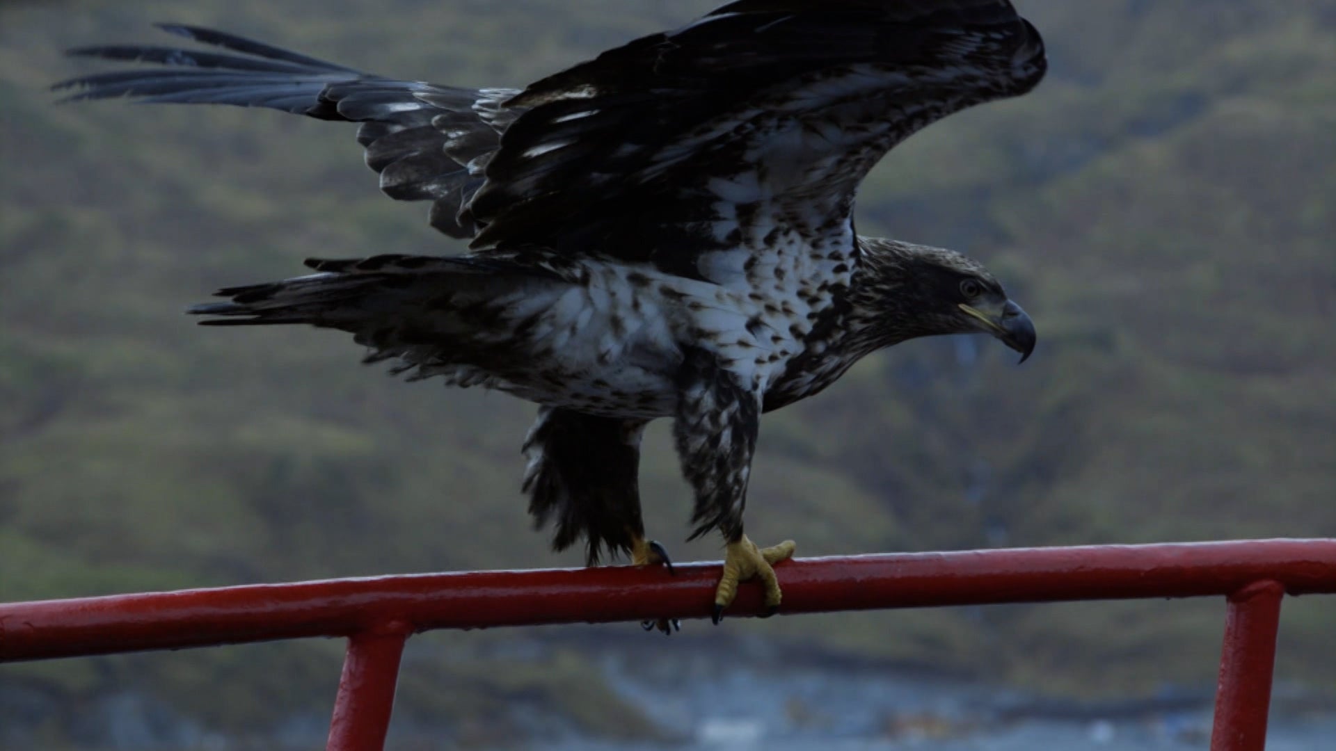 Deadliest Catch Season 13 Episode 7 Poisoned at Sea