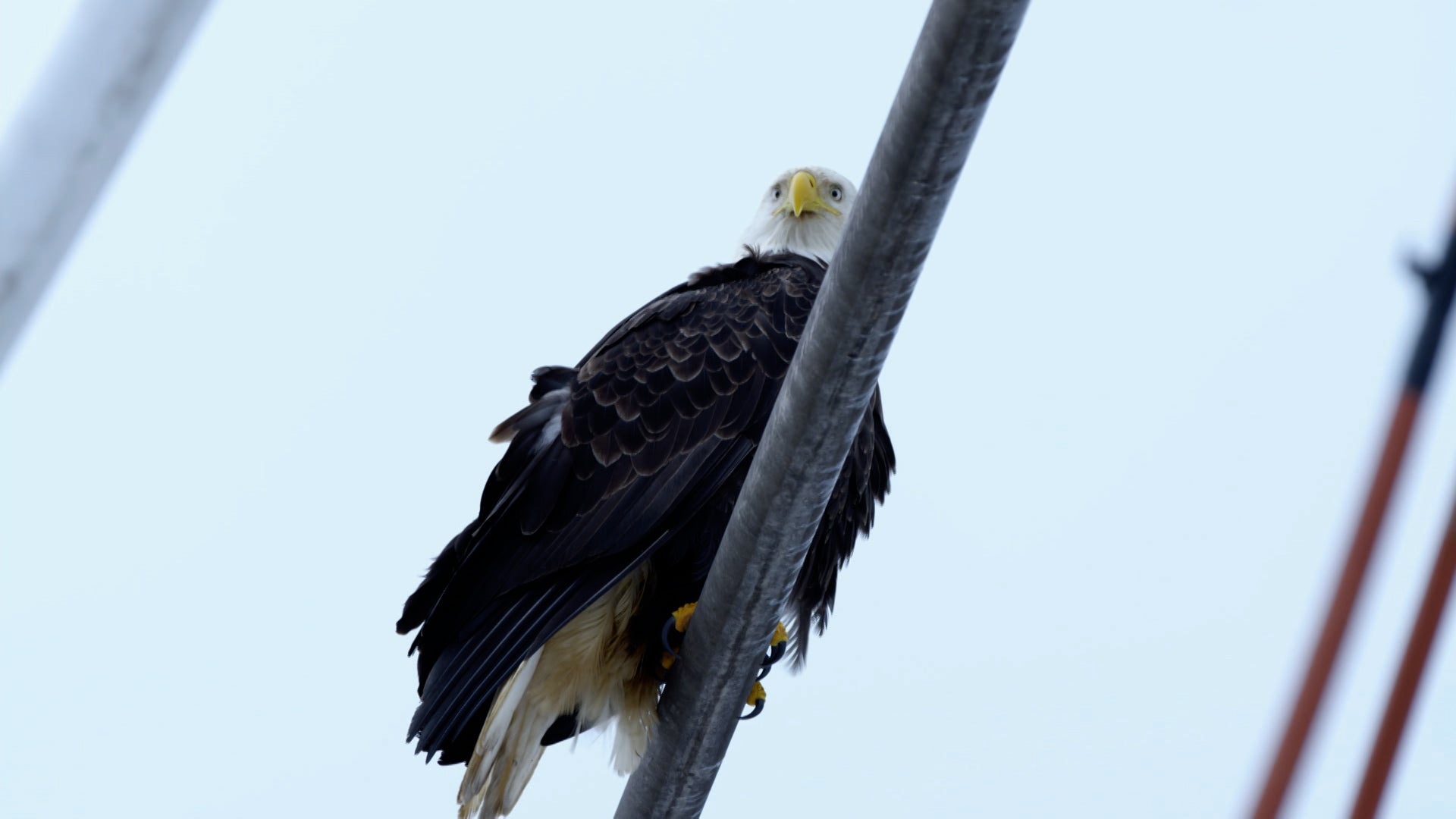 Deadliest Catch Season 19 Episode 14 The Better Captain