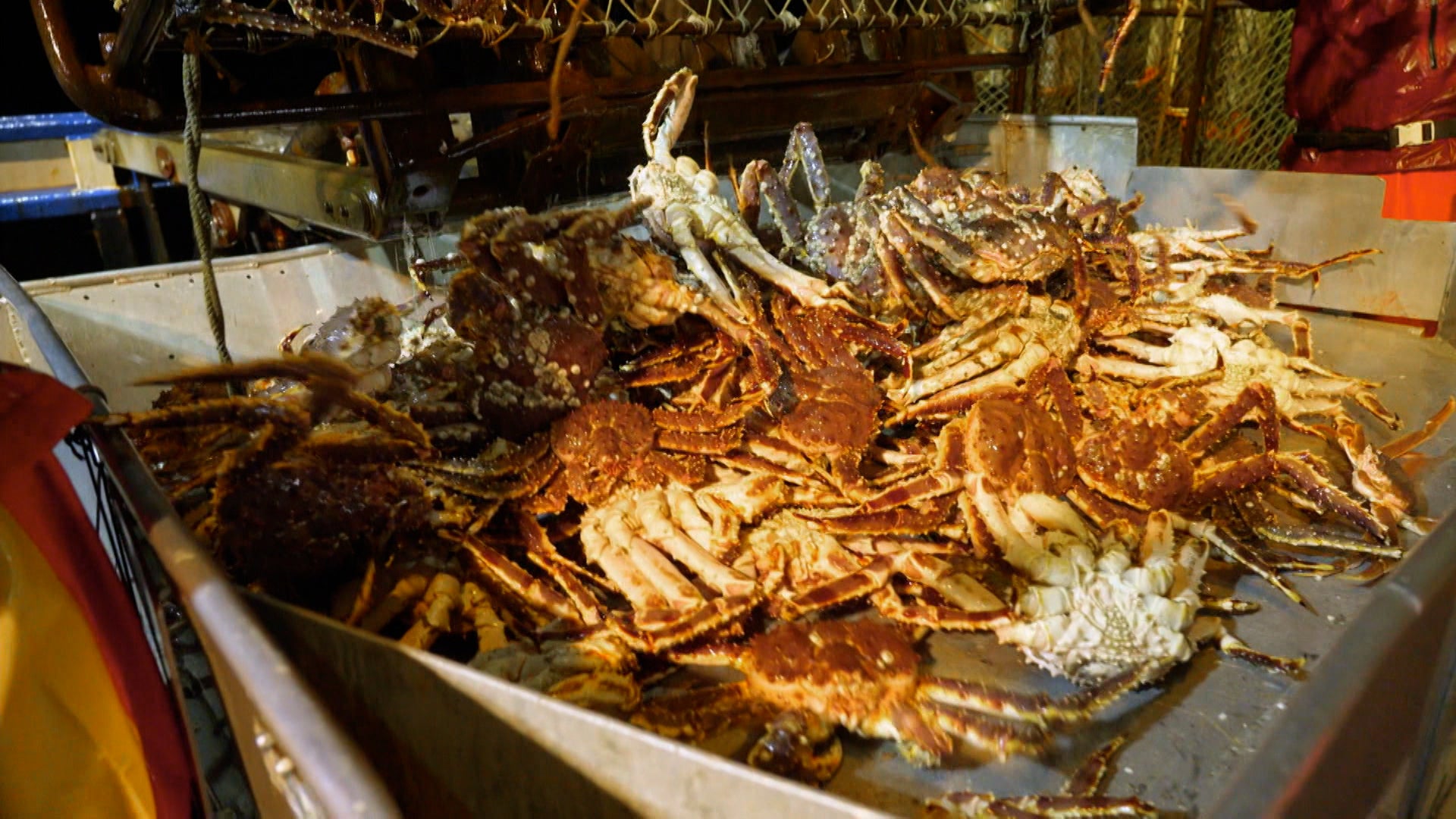 دادلياست كاتش الموسم 20 الحلقة 5 لاتبالغ في الحذر