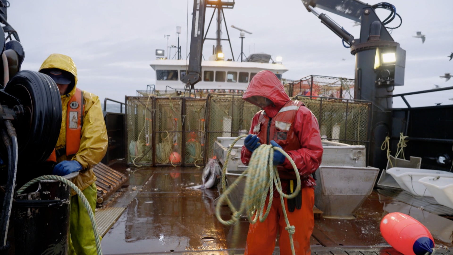 دادلياست كاتش الموسم 20 الحلقة 17 فاقد الوعي