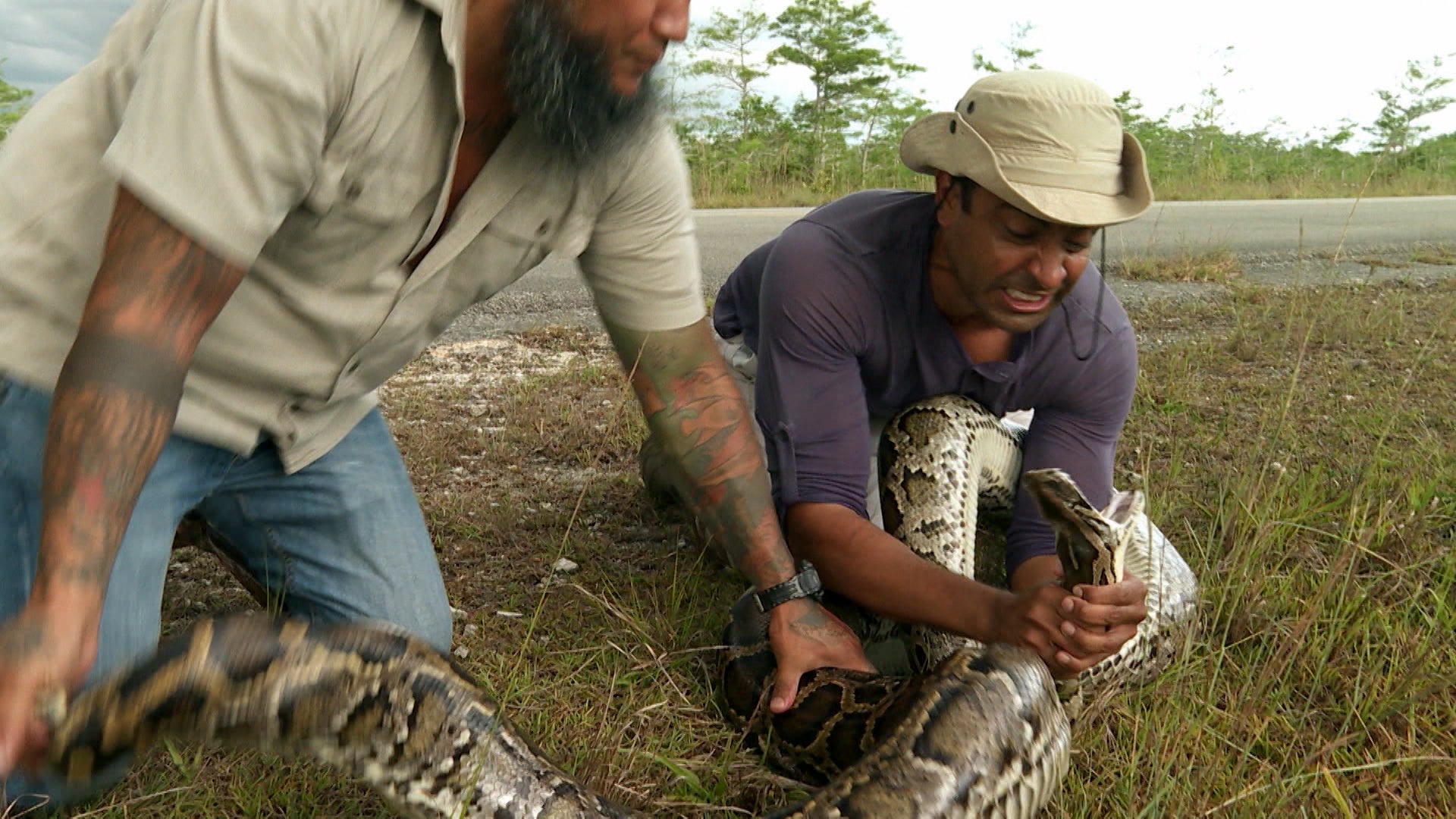 Swamp People: Serpent Invasion Season 3 Episode 6 The Snake Pit